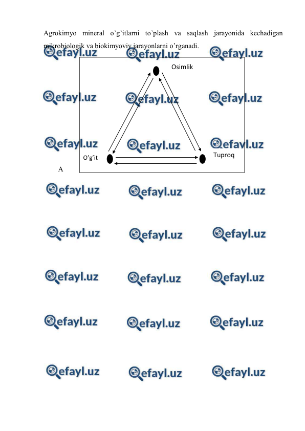  
 
Agrokimyo mineral o’g’itlarni to’plash va saqlash jarayonida kechadigan 
mikrobiologik va biokimyoviy jarayonlarni o’rganadi. 
 
 
 
 
 
 
 
 
 
A 
 
 
 
 
 
 
 
 
 
 
 
Osimlik 
O’g’it 
Tuproq 
