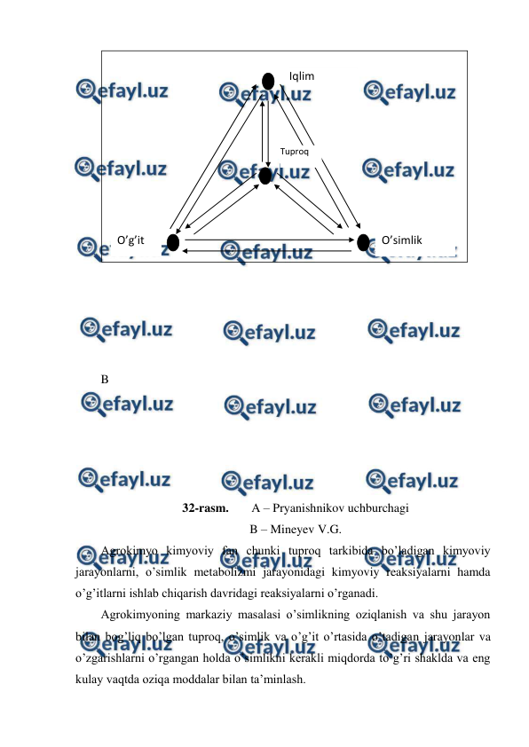  
 
 
 
 
 
 
B 
 
 
 
 
 
32-rasm.  
A – Pryanishnikov uchburchagi 
B – Mineyev V.G. 
Agrokimyo kimyoviy fan chunki tuproq tarkibida bo’ladigan kimyoviy 
jarayonlarni, o’simlik metabolizmi jarayonidagi kimyoviy reaksiyalarni hamda 
o’g’itlarni ishlab chiqarish davridagi reaksiyalarni o’rganadi. 
Agrokimyoning markaziy masalasi o’simlikning oziqlanish va shu jarayon 
bilan bog’liq bo’lgan tuproq, o’simlik va o’g’it o’rtasida o’tadigan jarayonlar va 
o’zgarishlarni o’rgangan holda o’simlikni kerakli miqdorda to’g’ri shaklda va eng 
kulay vaqtda oziqa moddalar bilan ta’minlash.  
O’simlik 
O’g’it 
Tuproq 
Iqlim 
