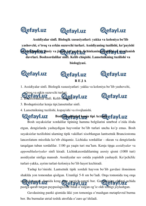  
 
 
 
 
 
Assidiyalar sinfi. Biologik xususiyatlari: yakka va koloniya bo’lib 
yashovchi, o’troq va erkin suzuvchi turlari. Assidiyaning tuzilishi, ko’payishi 
va rivojlanishi: jinsiy va jinssiz ko’payish, lichinkaning tuzilishi va rivojlanish 
davrlari. Boshxordalilar sinfi. Kelib chiqishi. Lansetnikning tuzilishi va 
biologiyasi. 
 
 
R E J A 
1. Assidiyalar sinfi. Biologik xususiyatlari: yakka va koloniya bo’lib yashovchi, 
o’troq va erkin suzuvchi turlari. 
2. Boshxordalilar sinfi. Kelib chiqishi.  
3. Boshqutisizlar kenja tipi,lansetnilar sinfi. 
4. Lansetnikning tuzilishi, kopayishi va rivojlanishi. 
Bosh suyaksizlar kenja tipi Acrania 
Bosh suyaksizlar xordalilar tipining hamma belgilarini umrbod o’zida ifoda 
etgan, dengizlarda yashaydigan hayvonlar bo’lib turlari uncha ko’p emas. Bosh 
suyaksizlar tuzilishini ularning tipik vakillari xisoblangan lanttsetnik Branciostoma 
lanceolatum misolida ko’rib chiqamiz. Lichiaka xordalilar - okean va dengizlarda 
tarqalgan tuban xordalilar. 1100 ga yaqin turi ma’lum. Kenja tipga assidiyalar va 
appendikulariyalar sinfi kiradi. Lichinkaxordalilarning asosiy qismi (1000 turi) 
assidiyalar sinfiga mansub. Assidiyalar suv ostida yopishib yashaydi. Ko’pchiJilc 
turlari-yakka, ayrim turlari-koloniya bo’lib hayot kechiradi. 
Tashqi ko’rinishi. Lantsetnik tipik xordali hayvon bo’lib gavdasi ilonsimon 
shaklda yon tomondan qisilgan. Uzunligi 5-8 sm bo’ladi. Orqa tomonida toq orqa 
suzgich qanoti, dumida keng dum suzgich qanoti bor. Gavdasining oldingi uchida 
pastga qarab turgan paypaslagichlar bilan o’ralgan og’iz oldi teshigi joylashgan.  
Gavdasining pastki qismida ikki yon tomoniga o’rnashgan metaplevral burma 
bor. Bu burmalar atrial teshik atrofida o’zaro qo’shiladi. 
