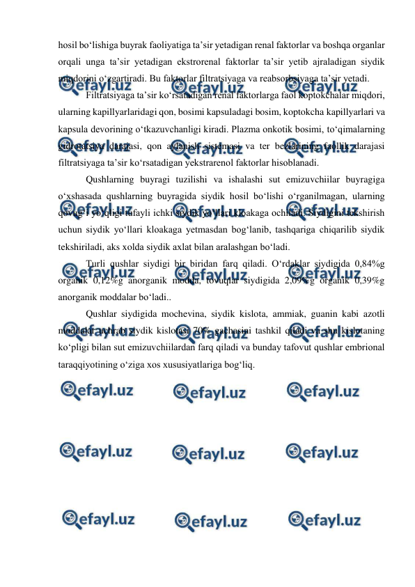  
 
hosil bo‘lishiga buyrak faoliyatiga ta’sir yetadigan renal faktorlar va boshqa organlar 
orqali unga ta’sir yetadigan ekstrorenal faktorlar ta’sir yetib ajraladigan siydik 
miqdorini o‘zgartiradi. Bu faktorlar filtratsiyaga va reabsorbsiyaga ta’sir yetadi.  
 Filtratsiyaga ta’sir ko‘rsatadigan renal faktorlarga faol koptokchalar miqdori, 
ularning kapillyarlaridagi qon, bosimi kapsuladagi bosim, koptokcha kapillyarlari va 
kapsula devorining o‘tkazuvchanligi kiradi. Plazma onkotik bosimi, to‘qimalarning 
gidrotatsiya darajasi, qon aylanish sistemasi va ter bezlarining faollik darajasi 
filtratsiyaga ta’sir ko‘rsatadigan yekstrarenol faktorlar hisoblanadi. 
 Qushlarning buyragi tuzilishi va ishalashi sut emizuvchiilar buyragiga 
o‘xshasada qushlarning buyragida siydik hosil bo‘lishi o‘rganilmagan, ularning 
qovug‘i yo‘qligi tufayli ichki siydik yo‘llari kloakaga ochiladi. Siydigini tekshirish 
uchun siydik yo‘llari kloakaga yetmasdan bog‘lanib, tashqariga chiqarilib siydik 
tekshiriladi, aks xolda siydik axlat bilan aralashgan bo‘ladi. 
 Turli qushlar siydigi bir biridan farq qiladi. O‘rdaklar siydigida 0,84%g 
organik 0,12%g anorganik modda, tovuqlar siydigida 2,09%g organik 0,39%g 
anorganik moddalar bo‘ladi.. 
 Qushlar siydigida mochevina, siydik kislota, ammiak, guanin kabi azotli 
moddalar uchrab siydik kislotasi 70% gachasini tashkil qiladi va shu kislotaning 
ko‘pligi bilan sut emizuvchiilardan farq qiladi va bunday tafovut qushlar embrional 
taraqqiyotining o‘ziga xos xususiyatlariga bog‘liq. 
 
