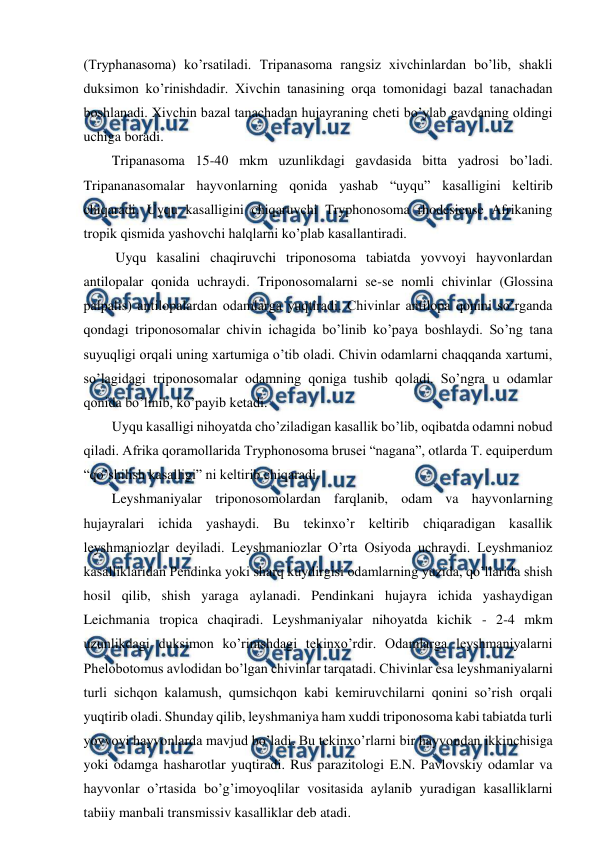  
 
(Tryphanasoma) ko’rsatiladi. Tripanasoma rangsiz xivchinlardan bo’lib, shakli 
duksimon ko’rinishdadir. Xivchin tanasining orqa tomonidagi bazal tanachadan 
boshlanadi. Xivchin bazal tanachadan hujayraning cheti bo’ylab gavdaning oldingi 
uchiga boradi.  
Tripanasoma 15-40 mkm uzunlikdagi gavdasida bitta yadrosi bo’ladi. 
Tripananasomalar hayvonlarning qonida yashab “uyqu” kasalligini keltirib 
chiqaradi. Uyqu kasalligini chiqaruvchi Tryphonosoma rhodesiense Afrikaning 
tropik qismida yashovchi halqlarni ko’plab kasallantiradi.  
 Uyqu kasalini chaqiruvchi triponosoma tabiatda yovvoyi hayvonlardan 
antilopalar qonida uchraydi. Triponosomalarni se-se nomli chivinlar (Glossina 
palpalis) antilopalardan odamlarga yuqtiradi. Chivinlar antilopa qonini so’rganda 
qondagi triponosomalar chivin ichagida bo’linib ko’paya boshlaydi. So’ng tana 
suyuqligi orqali uning xartumiga o’tib oladi. Chivin odamlarni chaqqanda xartumi, 
so’lagidagi triponosomalar odamning qoniga tushib qoladi. So’ngra u odamlar 
qonida bo’linib, ko’payib ketadi.  
Uyqu kasalligi nihoyatda cho’ziladigan kasallik bo’lib, oqibatda odamni nobud 
qiladi. Afrika qoramollarida Tryphonosoma brusei “nagana”, otlarda T. equiperdum 
“qo’shilish kasalligi” ni keltirib chiqaradi.  
Leyshmaniyalar triponosomolardan farqlanib, odam va hayvonlarning 
hujayralari ichida yashaydi. Bu tekinxo’r keltirib chiqaradigan kasallik 
leyshmaniozlar deyiladi. Leyshmaniozlar O’rta Osiyoda uchraydi. Leyshmanioz 
kasalliklaridan Pendinka yoki sharq kuydirgisi odamlarning yuzida, qo’llarida shish 
hosil qilib, shish yaraga aylanadi. Pendinkani hujayra ichida yashaydigan 
Leichmania tropica chaqiradi. Leyshmaniyalar nihoyatda kichik - 2-4 mkm 
uzunlikdagi duksimon ko’rinishdagi tekinxo’rdir. Odamlarga leyshmaniyalarni 
Phelobotomus avlodidan bo’lgan chivinlar tarqatadi. Chivinlar esa leyshmaniyalarni 
turli sichqon kalamush, qumsichqon kabi kemiruvchilarni qonini so’rish orqali 
yuqtirib oladi. Shunday qilib, leyshmaniya ham xuddi triponosoma kabi tabiatda turli 
yovvoyi hayvonlarda mavjud bo’ladi. Bu tekinxo’rlarni bir hayvondan ikkinchisiga 
yoki odamga hasharotlar yuqtiradi. Rus parazitologi E.N. Pavlovskiy odamlar va 
hayvonlar o’rtasida bo’g’imoyoqlilar vositasida aylanib yuradigan kasalliklarni 
tabiiy manbali transmissiv kasalliklar deb atadi.  
