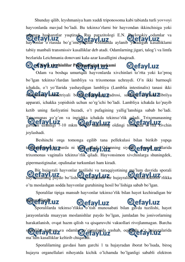  
 
Shunday qilib, leyshmaniya ham xuddi triponosoma kabi tabiatda turli yovvoyi 
hayvonlarda mavjud bo’ladi. Bu tekinxo’rlarni bir hayvondan ikkinchisiga yoki 
odamga hasharotlar yuqtiradi. Rus parazitologi E.N. Pavlovskiy odamlar va 
hayvonlar o’rtasida bo’g’imoyoqlilar vositasida aylanib yuradigan kasalliklarni 
tabiiy manbali transmissiv kasalliklar deb atadi. Odamlarning jigari, talog’i va limfa 
bezlarida Leichmania donovani kala-azar kasalligini chaqiradi.  
 
 4. Ko’p xivchinlilar Polymastigina turkumi  
 Odam va boshqa umurtqali hayvonlarda xivchinlari to’rtta yoki ko’proq 
bo’lgan tekinxo’rlardan lambliya va trixomonas uchraydi. O’n ikki barmoqli 
ichakda, o’t yo’llarida yashaydigan lambliya (Lamblia intestinalis) tanasi ikki 
tomonlama simmetriyali bo’lib, ikkitadan yadrosi, sakkizta xivchini fibrilya 
apparati, ichakka yopishish uchun so’rg’ichi bo’ladi. Lambliya ichakda ko’payib 
ketib uning faoliyatini buzadi, o’t pufagining yallig’lanshiga sabab bo’ladi. 
Trixomonas yo’g’on va ingichka ichakda tekinxo’rlik qiladi. Trixomanasning 
gavdasi uzunligi 7-10 mkm bo’lib tanasining oldingi tomonida to’rtta xivchin 
joylashadi. 
 Beshinchi orqa tomonga egilib tana pellekulasi bilan birikib yupqa 
to’lqinlantiruvchi parda ni hosil qiladi. Odamning siydik - tanosil yo’llarida 
trixomonas vaginalis tekinxo’rlik qiladi. Hayvonsimon xivchinlarga shuningdek, 
gipermastiginalar, opalinalar turkumlari ham kiradi.  
Bir hujayrali hayvonlar tuzilishi va taraqqiyotining ma’lum davrida sporali 
hayvonlarning paydo bo’lishi va rivojlanishi bir hujayralilar ichida tekinxo’rlikka 
o’ta moslashgan sodda hayvonlar guruhining hosil bo’lishiga sabab bo’lgan. 
 Sporalilar tipiga mansub hayvonlar tekinxo’rlik bilan hayot kechiradigan bir 
hujayralilardir.  
Sporalilarda tekinxo’rlikka o’tish munosabati bilan gavda tuzilishi, hayot 
jarayonlarida muayyan moslanishlar paydo bo’lgan, jumladan bu jonivorlarning 
harakatlanish, ovqat hazm qilish va qisqaruvchi vakuollari rivojlanmagan. Barcha 
sporalilar hayvon va odamlar to’qimalarida yashab, oqibatda o’z hujayralarida 
ma’lum kasalliklar keltirib chiqaradi.  
 Sporalilarning gavdasi ham garchi 1 ta hujayradan iborat bo’lsada, biroq 
hujayra organellalari nihoyatda kichik o’lchamda bo’lganligi sababli elektron 
