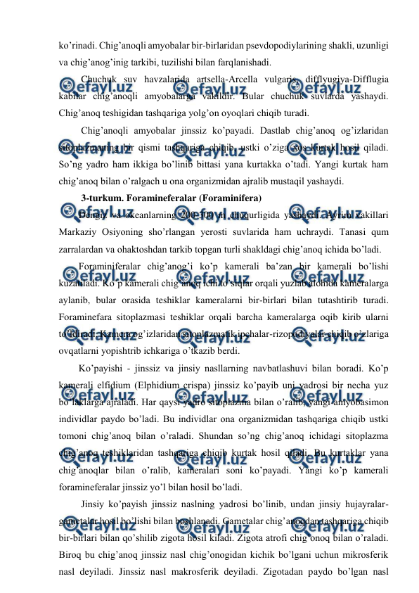  
 
ko’rinadi. Chig’anoqli amyobalar bir-birlaridan psevdopodiylarining shakli, uzunligi 
va chig’anog’inig tarkibi, tuzilishi bilan farqlanishadi.  
 Chuchuk suv havzalarida artsella-Arcella vulgaris, difflyugiya-Difflugia 
kabilar chig’anoqli amyobalarga vakildir. Bular chuchuk suvlarda yashaydi. 
Chig’anoq teshigidan tashqariga yolg’on oyoqlari chiqib turadi. 
 Chig’anoqli amyobalar jinssiz ko’payadi. Dastlab chig’anoq og’izlaridan 
sitoplazmaning bir qismi tashqariga chiqib, ustki o’ziga xos kurtak hosil qiladi. 
So’ng yadro ham ikkiga bo’linib bittasi yana kurtakka o’tadi. Yangi kurtak ham 
chig’anoq bilan o’ralgach u ona organizmidan ajralib mustaqil yashaydi. 
 3-turkum. Foramineferalar (Foraminifera)  
Dengiz va okeanlarning 200-300 m chuqurligida yashaydi. Ayrim vakillari 
Markaziy Osiyoning sho’rlangan yerosti suvlarida ham uchraydi. Tanasi qum 
zarralardan va ohaktoshdan tarkib topgan turli shakldagi chig’anoq ichida bo’ladi. 
Foraminiferalar chig’anog’i ko’p kamerali ba’zan bir kamerali bo’lishi 
kuzatiladi. Ko’p kamerali chig’anoq ichi to’siqlar orqali yuzlab alohida kameralarga 
aylanib, bular orasida teshiklar kameralarni bir-birlari bilan tutashtirib turadi. 
Foraminefara sitoplazmasi teshiklar orqali barcha kameralarga oqib kirib ularni 
to’ldiradi. Kamera og’izlaridan sitoplazmatik ipchalar-rizopodiyalar chiqib o’zlariga 
ovqatlarni yopishtrib ichkariga o’tkazib berdi. 
Ko’payishi - jinssiz va jinsiy nasllarning navbatlashuvi bilan boradi. Ko’p 
kamerali elfidium (Elphidium crispa) jinssiz ko’payib uni yadrosi bir necha yuz 
bo’laklarga ajraladi. Har qaysi yadro sitoplazma bilan o’ralib, yangi amyobasimon 
individlar paydo bo’ladi. Bu individlar ona organizmidan tashqariga chiqib ustki 
tomoni chig’anoq bilan o’raladi. Shundan so’ng chig’anoq ichidagi sitoplazma 
chig’anoq teshiklaridan tashqariga chiqib kurtak hosil qiladi. Bu kurtaklar yana 
chig’anoqlar bilan o’ralib, kameralari soni ko’payadi. Yangi ko’p kamerali 
foramineferalar jinssiz yo’l bilan hosil bo’ladi. 
 Jinsiy ko’payish jinssiz naslning yadrosi bo’linib, undan jinsiy hujayralar- 
gametalar hosil bo’lishi bilan boshlanadi. Gametalar chig’anoqdan tashqariga chiqib 
bir-birlari bilan qo’shilib zigota hosil kiladi. Zigota atrofi chig’onoq bilan o’raladi. 
Biroq bu chig’anoq jinssiz nasl chig’onogidan kichik bo’lgani uchun mikrosferik 
nasl deyiladi. Jinssiz nasl makrosferik deyiladi. Zigotadan paydo bo’lgan nasl 
