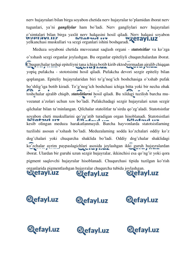  
 
nerv hujayralari bilan birga soyabon chetida nerv hujayralar to’plamidan iborat nerv 
tugunlari, ya’ni gangliylar ham bo’ladi. Nerv gangliylari nerv hujayralari 
o’simtalari bilan birga yaxlit nerv halqasini hosil qiladi. Nerv halqasi soyabon 
yelkanchasi muskullari va sezgi organlari ishini boshqaradi. 
      Meduza soyaboni chetida muvozanat saqlash organi - statotsitlar va ko’zga 
o’xshash sezgi organlar joylashgan. Bu organlar epiteliyli chuqurchalardan iborat. 
Chuqurchalar tashqi epiteliyni tana ichiga botib kirib ektodyermadan ajralib chiqqan 
yopiq pufakcha - stototsistni hosil qiladi. Pufakcha devori sezgir epiteliy bilan 
qoplangan. Epiteliy hujayralaridan biri to’g’nog’ich boshchasiga o’xshab pufak 
bo’shlig’iga botib kiradi. To’g’nog’ich boshchasi ichiga bitta yoki bir necha ohak 
toshchalar ajralib chiqib, statolitlarni hosil qiladi. Bu xildagi tuzilish barcha mu-
vozanat a’zolari uchun xos bo’ladi. Pufakchadagi sezgir hujayralari uzun sezgir 
qilchalar bilan ta’minlangan. Qilchalar statolitlar ta’sirda qo’zg’aladi. Statotsistlar 
soyabon cheti muskullarini qo’zg’atib turadigan organ hisoblanadi. Statotsistlari 
kesib olingan meduza harakatlanmaydi. Barcha hayvonlarda statotsistlarning 
tuzilishi asosan o’xshash bo’ladi. Meduzalaming sodda ko’zchalari oddiy ko’z 
dog’chalari yoki chuqurcha shaklida bo’ladi. Oddiy dog’chalar shaklidagi 
ko’zchalar ayrim paypaslagichlari asosida joylashgan ikki guruh hujayralardan 
iborat. Ulardan bir guruhi uzun sezgir hujayralar, ikkinchisi esa qo’ng’ir yoki qora 
pigment saqlovchi hujayralar hisoblanadi. Chuqurchasi tipida tuzilgan ko’rish 
organlarida pigmentlashgan hujayralar chuqurcha tubida joylashgan.  
 
