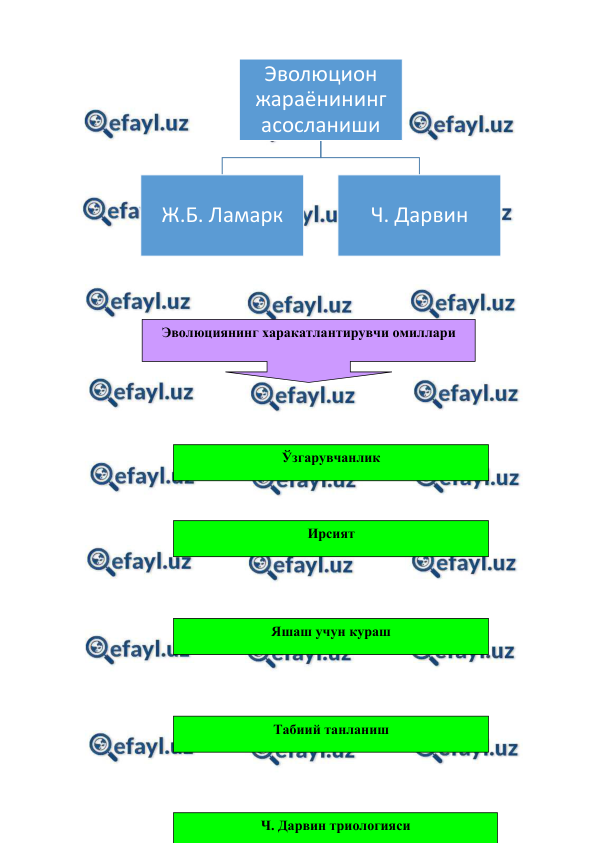  
 
 
 
  
 
 
 
 
  
 
 
 
 
 
 
 
 
 
 
 
 
 
 
 
 
 
 
 
 
 
 
  
 
Эволюцион 
жараёнининг 
асосланиши 
Ж.Б. Ламарк 
Ч. Дарвин 
Эволюциянинг харакатлантирувчи омиллари 
Ирсият 
Ўзгарувчанлик 
Яшаш учун кураш 
Табиий танланиш 
Ч. Дарвин триологияси 
