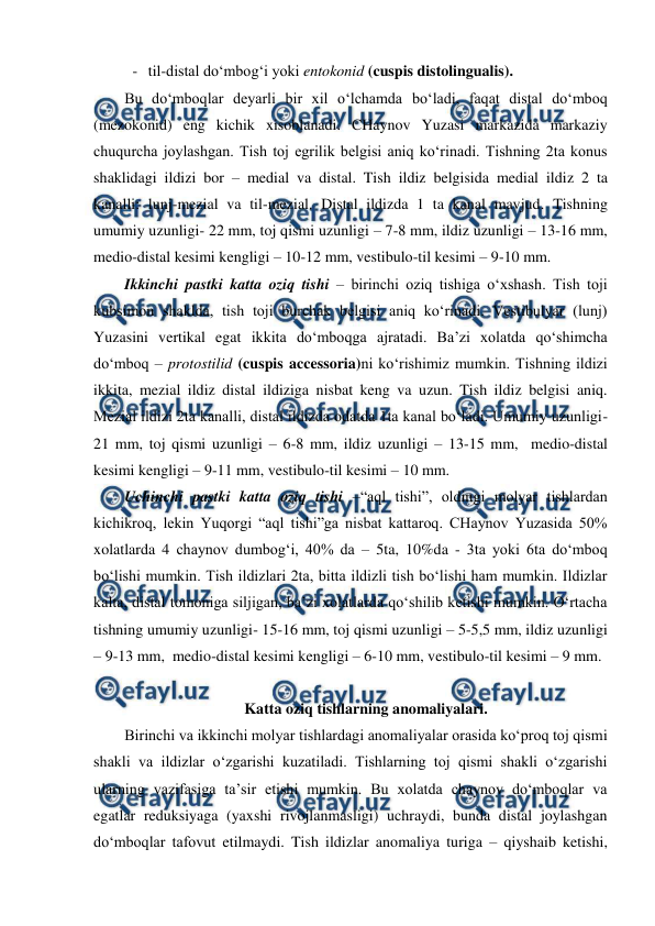  
 
- til-distal do‘mbog‘i yoki entokonid (cuspis distolingualis). 
Bu do‘mboqlar deyarli bir xil o‘lchamda bo‘ladi, faqat distal do‘mboq 
(mezokonid) eng kichik xisoblanadi. CHaynov Yuzasi markazida markaziy 
chuqurcha joylashgan. Tish toj egrilik belgisi aniq ko‘rinadi. Tishning 2ta konus 
shaklidagi ildizi bor – medial va distal. Tish ildiz belgisida medial ildiz 2 ta 
kanalli: lunj-mezial va til-mezial. Distal ildizda 1 ta kanal mavjud. Tishning 
umumiy uzunligi- 22 mm, toj qismi uzunligi – 7-8 mm, ildiz uzunligi – 13-16 mm,  
medio-distal kesimi kengligi – 10-12 mm, vestibulo-til kesimi – 9-10 mm.  
Ikkinchi pastki katta oziq tishi – birinchi oziq tishiga o‘xshash. Tish toji 
kubsimon shaklda, tish toji burchak belgisi aniq ko‘rinadi. Vestibulyar (lunj) 
Yuzasini vertikal egat ikkita do‘mboqga ajratadi. Ba’zi xolatda qo‘shimcha 
do‘mboq – protostilid (cuspis accessoria)ni ko‘rishimiz mumkin. Tishning ildizi 
ikkita, mezial ildiz distal ildiziga nisbat keng va uzun. Tish ildiz belgisi aniq. 
Mezial ildizi 2ta kanalli, distal ildizda odatda 1ta kanal bo‘ladi. Umumiy uzunligi- 
21 mm, toj qismi uzunligi – 6-8 mm, ildiz uzunligi – 13-15 mm,  medio-distal 
kesimi kengligi – 9-11 mm, vestibulo-til kesimi – 10 mm.  
Uchinchi pastki katta oziq tishi –“aql tishi”, oldingi molyar tishlardan 
kichikroq, lekin Yuqorgi “aql tishi”ga nisbat kattaroq. CHaynov Yuzasida 50% 
xolatlarda 4 chaynov dumbog‘i, 40% da – 5ta, 10%da - 3ta yoki 6ta do‘mboq 
bo‘lishi mumkin. Tish ildizlari 2ta, bitta ildizli tish bo‘lishi ham mumkin. Ildizlar 
kalta, distal tomoniga siljigan, ba’zi xolatlarda qo‘shilib ketishi mumkin. O‘rtacha 
tishning umumiy uzunligi- 15-16 mm, toj qismi uzunligi – 5-5,5 mm, ildiz uzunligi 
– 9-13 mm,  medio-distal kesimi kengligi – 6-10 mm, vestibulo-til kesimi – 9 mm.  
 
Katta oziq tishlarning anomaliyalari. 
Birinchi va ikkinchi molyar tishlardagi anomaliyalar orasida ko‘proq toj qismi 
shakli va ildizlar o‘zgarishi kuzatiladi. Tishlarning toj qismi shakli o‘zgarishi 
ularning vazifasiga ta’sir etishi mumkin. Bu xolatda chaynov do‘mboqlar va 
egatlar reduksiyaga (yaxshi rivojlanmasligi) uchraydi, bunda distal joylashgan 
do‘mboqlar tafovut etilmaydi. Tish ildizlar anomaliya turiga – qiyshaib ketishi, 
