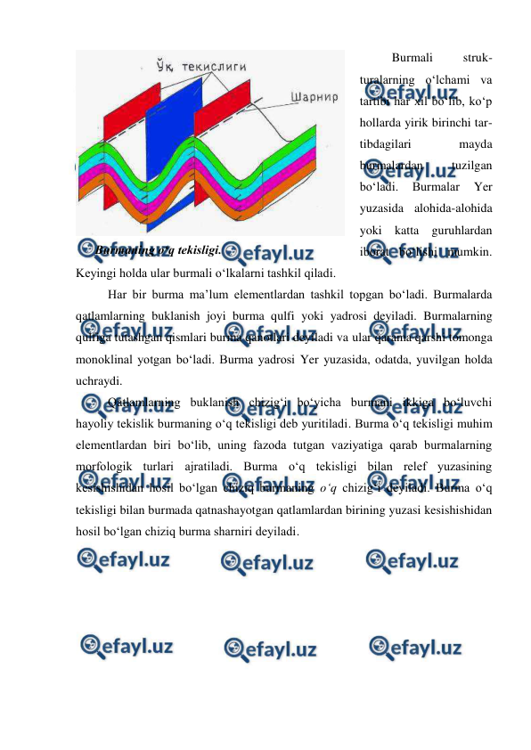  
 
Burmali 
struk-
turalarning o‘lchami va 
tartibi har xil bo‘lib, ko‘p 
hollarda yirik birinchi tar-
tibdagilari 
mayda 
burmalardan 
tuzilgan 
bo‘ladi. 
Burmalar 
Yer 
yuzasida alohida-alohida 
yoki katta guruhlardan 
iborat bo‘lishi mumkin. 
Keyingi holda ular burmali o‘lkalarni tashkil qiladi. 
Har bir burma ma’lum elementlardan tashkil topgan bo‘ladi. Burmalarda 
qatlamlarning buklanish joyi burma qulfi yoki yadrosi deyiladi. Burmalarning 
qulfiga tutashgan qismlari burma qanotlari deyiladi va ular qarama qarshi tomonga 
monoklinal yotgan bo‘ladi. Burma yadrosi Yer yuzasida, odatda, yuvilgan holda 
uchraydi. 
Qatlamlarning buklanish chizig‘i bo‘yicha burmani ikkiga bo‘luvchi 
hayoliy tekislik burmaning o‘q tekisligi deb yuritiladi. Burma o‘q tekisligi muhim 
elementlardan biri bo‘lib, uning fazoda tutgan vaziyatiga qarab burmalarning 
morfologik turlari ajratiladi. Burma o‘q tekisligi bilan relef yuzasining 
kesishishidan hosil bo‘lgan chiziq burmaning o‘q chizig‘i deyiladi. Burma o‘q 
tekisligi bilan burmada qatnashayotgan qatlamlardan birining yuzasi kesishishidan 
hosil bo‘lgan chiziq burma sharniri deyiladi. 
 
      Burmaning o‘q tekisligi. 
