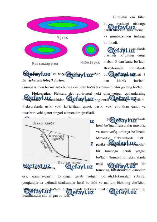  
 
Burmalar eni bilan 
bo‘yi 
orasidagi 
nisbatga 
qarab cho‘ziq, braxiformali 
va gumbazsimon turlarga 
bo‘linadi. 
Cho‘ziq burmalarda 
ularning bo‘yining eniga 
nisbati 3 dan katta bo‘ladi. 
Braxiformali 
burmalarda 
bo‘yining eniga nisbati 3 
dan 
kichik 
bo‘ladi. 
Gumbazsimon burmalarda burma eni bilan bo‘yi taxminan bir-biriga teng bo‘ladi. 
Fleksuralar. Fleksura deb gorizontal yoki qiya yotgan qatlamlarning 
tirsaksimon buklanishidan hosil bo‘lgan pog‘onali strukturaga aytiladi. 
Fleksuralarda ustki yoki ko‘tarilgan qanot, pastki yoki cho‘kkan qanot va 
tutashtiruvchi qanot singari elementlar ajratiladi. 
Qiya yotgan qatlamlarda 
hosil bo‘lgan fleksuralar muvofiq 
va nomuvofiq turlarga bo‘linadi. 
Muvo-fiq 
fleksuralarda 
ustki, 
pastki va tutashtiruvchi qanotlari 
bir 
tomonga 
qarab 
yotgan 
bo‘ladi. Nomuvofiq fleksuralarda 
ustki va pastki qanotlar bir 
tomonga, tutashtiruvchi qanotlari 
esa, 
qarama-qarshi 
tomonga 
qarab 
yotgan 
bo‘ladi.Fleksuralar 
substrat 
yotqiziqlarida uzilmali strukturalar hosil bo‘lishi va ma’lum blokning cho‘kishi 
natija-sida paydo bo‘ladi. Lekin bunda fleksura hosil qiluvchi qatlam yaxlitligi 
buzilmasdan cho‘zilgan bo‘ladi. 
 
 Burmalarning eni va bo‘yi orasidagi munosabat 
bo‘yicha morfologik turlari. 
 
 Fleksura elementlari. 
