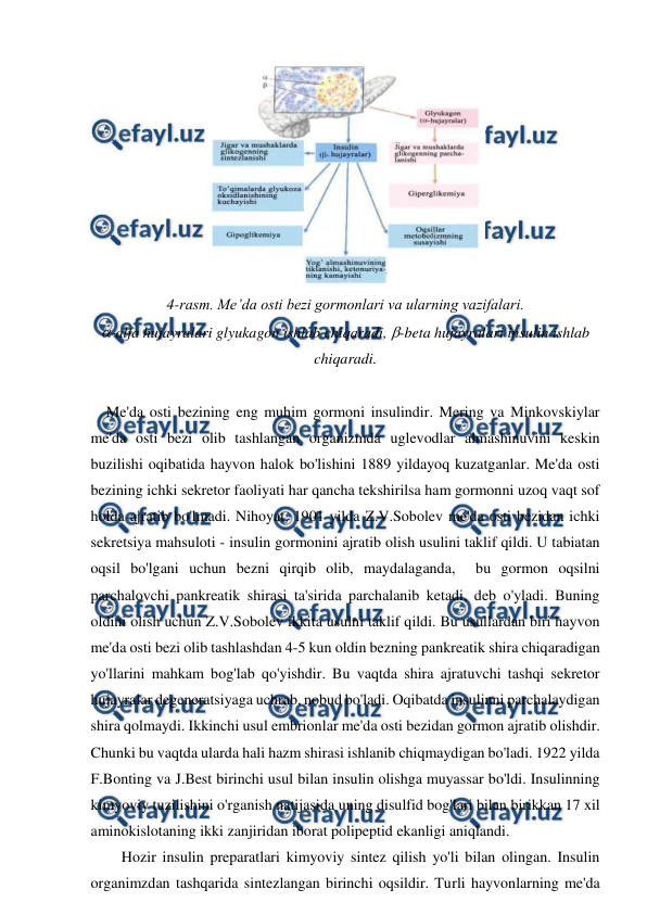  
 
 
4-rasm. Me’da osti bezi gormonlari va ularning vazifalari. 
-alfa hujayralari glyukagon ishlab chiqaradi, -beta hujayralari insulin ishlab 
chiqaradi. 
 
Me'da osti bezining eng muhim gormoni insulindir. Mering va Minkovskiylar 
me'da osti bezi olib tashlangan organizmda uglevodlar almashinuvini keskin 
buzilishi oqibatida hayvon halok bo'lishini 1889 yildayoq kuzatganlar. Me'da osti 
bezining ichki sekretor faoliyati har qancha tekshirilsa ham gormonni uzoq vaqt sof 
holda ajratib bo'lmadi. Nihoyat, 1901 yilda Z.V.Sobolev me'da osti bezidan ichki 
sekretsiya mahsuloti - insulin gormonini ajratib olish usulini taklif qildi. U tabiatan 
oqsil bo'lgani uchun bezni qirqib olib, maydalaganda,  bu gormon oqsilni 
parchalovchi pankreatik shirasi ta'sirida parchalanib ketadi, deb o'yladi. Buning 
oldini olish uchun Z.V.Sobolev ikkita usulni taklif qildi. Bu usullardan biri hayvon 
me'da osti bezi olib tashlashdan 4-5 kun oldin bezning pankreatik shira chiqaradigan 
yo'llarini mahkam bog'lab qo'yishdir. Bu vaqtda shira ajratuvchi tashqi sekretor 
hujayralar degeneratsiyaga uchrab, nobud bo'ladi. Oqibatda insulinni parchalaydigan 
shira qolmaydi. Ikkinchi usul embrionlar me'da osti bezidan gormon ajratib olishdir. 
Chunki bu vaqtda ularda hali hazm shirasi ishlanib chiqmaydigan bo'ladi. 1922 yilda 
F.Bonting va J.Best birinchi usul bilan insulin olishga muyassar bo'ldi. Insulinning 
kimyoviy tuzilishini o'rganish natijasida uning disulfid bog'lari bilan birikkan 17 xil 
aminokislotaning ikki zanjiridan iborat polipeptid ekanligi aniqlandi. 
Hozir insulin preparatlari kimyoviy sintez qilish yo'li bilan olingan. Insulin 
organimzdan tashqarida sintezlangan birinchi oqsildir. Turli hayvonlarning me'da 
