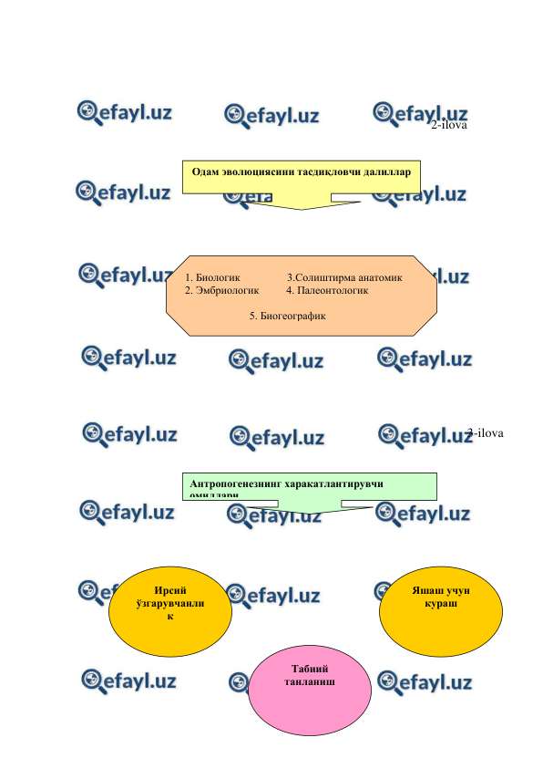  
 
 
 
 
 
 
 
 
 
 
 
2-ilova 
 
 
 
 
 
 
 
 
 
 
 
 
 
 
                                                                    3-ilova 
 
 
 
 
 
 
 
 
 
 
 
 
 
 
Одам эволюциясини тасдиқловчи далиллар 
1. Биологик          
  3.Солиштирма анатомик                           
2. Эмбриологик          4. Палеонтологик 
  
 
 
5. Биогеографик  
Антропогенезнинг харакатлантирувчи 
омиллари 
Ирсий 
ўзгарувчанли
к 
Табиий 
танланиш 
Яшаш учун 
кураш 
