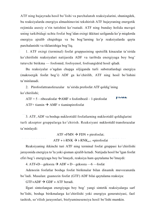  
 
AТF ning hujayrada hosil bo’lishi va parchalansh reaksiyalarini, shuningdek, 
bu reaksiyalarda energiya almashinuvini tekshirish AТF hujayraning energetik 
rejimida asosiy o’rin tutishini ko’rsatadi. AТF ning bunday holida mavqei 
uning tarkibidagi uchta fosfat bog’idan oxirgi ikkitasi uzilganda ko’p miqdorda 
energiya ajralib chiqishiga va bu bog’larning ko’p reaksiyalarda qayta 
parchalanishi va tiklanishiga bog’liq. 
1. AТF oxirgi (terminal) fosfat gruppasining spetsifik kinazalar ta’sirida 
ko’chirilishi reaksiyalari natijasida ADF va taribida energiyaga boy bog’ 
tutuvchi birikma — fosfomid, fosfoyenol, fosfoangidrid hosil qiladi. 
Bu reaksiyalar o’ngdan chapga siljiganda turli substratlardagi energiya 
(makroergik fosfat bog’i) ADF ga ko’chirilib, AТF ning hosil bo’lishini 
ta’minlanadi. 
2.   Pirofosfattransferazalar   ta’sirida profosfat AТF qoldig’ining 
ko’chirilishi; 
AТF + 5 – ribozafosfat AMF + fosforibozil – 1-pirofosfat  
AТF+ tiamin  AMF + tiaminpirofosfat 
 
3. AТF, ADF va boshqa nukleotidil fosfatlarning nukleotidil qoldiqlarini 
turli akseptor gruppalarga ko’chirish. Reaksiyani nukleotidil transferazalar 
ta’minlaydi: 
ATF +FMN  FDN + pirofosfat; 
ATF + t-RNK  t-RNKn+1 +pirofosfat 
Reaksiyaning ikkinchi turi ATF ning terminal fosfat gruppasi ko’chirilishi 
jarayonida energiya to’la yoki qisman ajralib ketadi. Natijada hosil bo’lgan fosfat 
efiri bog’i energiyaga boy bo’lmaydi, reaksiya ham qaytalama bo’lmaydi: 
4. AТF+D—geksoza  ADF + D—geksoza —6 —fosfat 
Adenozin fosfatlar boshqa fosfat birikmalar bilan dinamik muvozanatda 
bo’ladi. Masalan: guanozin fosfat (GТF) ADF bilai qaytalama reaksiya: 
GТF+ADF  GDF + AТF beradi.  
Ilgari sintezlangan energiyaga boy bog’ yangi sintetik reaksiyalarga sarf 
bo’lishi, boshqa birikmalarga ko’chirilishi yoki energiya generatsiyasi, faol 
tashish, so’rilish jarayonlari, biolyuminesensiya hosil bo’lishi mumkin. 
