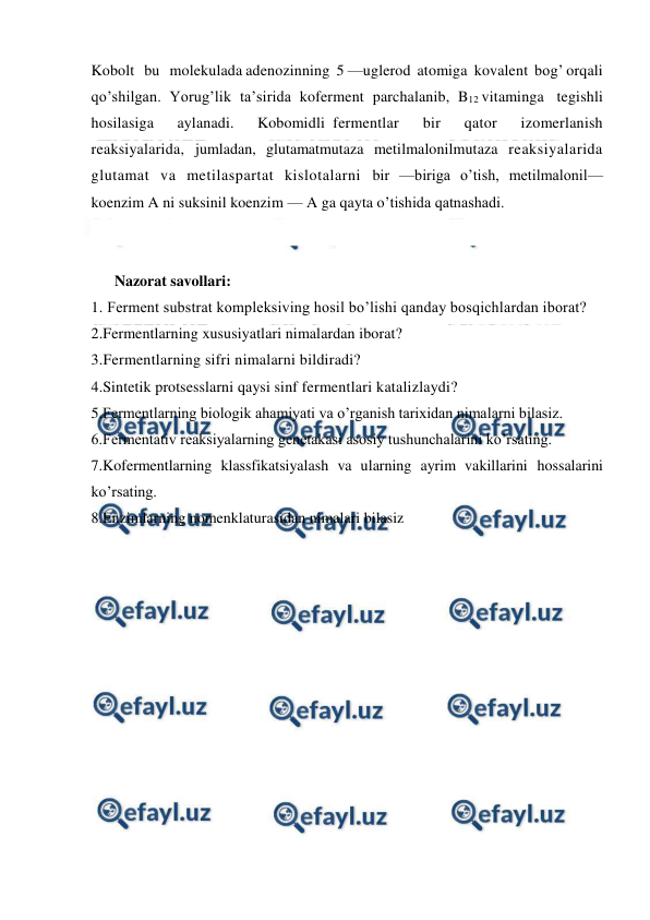  
 
Kobolt   bu   molekulada adenozinning  5 —uglerod  atomiga  kovalent  bog’ orqali 
qo’shilgan.  Yorug’lik  ta’sirida  koferment  parchalanib,  B12 vitaminga   tegishli   
hosilasiga   aylanadi.   Kobomidli fermentlar   bir   qator   izomerlanish   
reaksiyalarida, jumladan, glutamatmutaza metilmalonilmutaza reaksiyalarida 
glutamat va metilaspartat kislotalarni bir —biriga o’tish, metilmalonil—
koenzim A ni suksinil koenzim — A ga qayta o’tishida qatnashadi. 
  
 
Nazorat savollari: 
1. Ferment substrat kompleksiving hosil bo’lishi qanday bosqichlardan iborat?  
2.Fermentlarning xususiyatlari nimalardan iborat? 
3.Fermentlarning sifri nimalarni bildiradi? 
4.Sintetik protsesslarni qaysi sinf fermentlari katalizlaydi? 
5.Fermentlarning biologik ahamiyati va o’rganish tarixidan nimalarni bilasiz. 
6.Fermentativ reaksiyalarning genetakasi asosiy tushunchalarini ko’rsating. 
7.Kofermentlarning klassfikatsiyalash va ularning ayrim vakillarini hossalarini 
ko’rsating. 
8.Enzimlarning nomenklaturasidan nimalari bilasiz 
 
