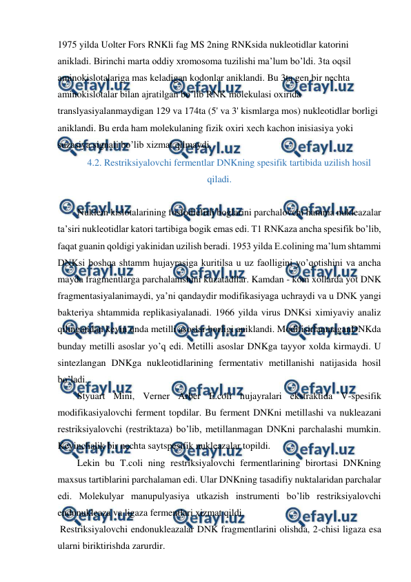  
 
1975 yilda Uolter Fors RNKli fag MS 2ning RNKsida nukleotidlar katorini 
anikladi. Birinchi marta oddiy xromosoma tuzilishi ma’lum bo’ldi. 3ta oqsil 
aminokislotalariga mas keladigan kodonlar aniklandi. Bu 3ta gen bir nechta 
aminokislotalar bilan ajratilgan bo’lib RNK molekulasi oxirida 
translyasiyalanmaydigan 129 va 174ta (5' va 3' kismlarga mos) nukleotidlar borligi 
aniklandi. Bu erda ham molekulaning fizik oxiri xech kachon inisiasiya yoki 
suzasiya signali bo’lib xizmat qilmaydi. 
4.2. Restriksiyalovchi fermentlar DNKning spesifik tartibida uzilish hosil 
qiladi. 
 
Nuklein kislotalarining fosfodiefirli boglarini parchalovchi hamma nukleazalar 
ta’siri nukleotidlar katori tartibiga bogik emas edi. T1 RNKaza ancha spesifik bo’lib, 
faqat guanin qoldigi yakinidan uzilish beradi. 1953 yilda E.colining ma’lum shtammi 
DNKsi boshqa shtamm hujayrasiga kuritilsa u uz faolligini yo’qotishini va ancha 
mayda fragmentlarga parchalanishini kuzatadilar. Kamdan - kom xollarda yot DNK 
fragmentasiyalanimaydi, ya’ni qandaydir modifikasiyaga uchraydi va u DNK yangi 
bakteriya shtammida replikasiyalanadi. 1966 yilda virus DNKsi ximiyaviy analiz 
qilingandan keyin unda metilli asoslar borligi aniklandi. ModifisirlanmaganDNKda 
bunday metilli asoslar yo’q edi. Metilli asoslar DNKga tayyor xolda kirmaydi. U 
sintezlangan DNKga nukleotidlarining fermentativ metillanishi natijasida hosil 
bo’ladi. 
Styuart Mini, Verner Arber E.coli hujayralari ekstraktida V-spesifik 
modifikasiyalovchi ferment topdilar. Bu ferment DNKni metillashi va nukleazani 
restriksiyalovchi (restriktaza) bo’lib, metillanmagan DNKni parchalashi mumkin. 
Keyinchalik bir nechta saytspesifik nukleazalar topildi. 
Lekin bu T.coli ning restriksiyalovchi fermentlarining birortasi DNKning 
maxsus tartiblarini parchalaman edi. Ular DNKning tasadifiy nuktalaridan parchalar 
edi. Molekulyar manupulyasiya utkazish instrumenti bo’lib restriksiyalovchi 
endonukleaza va ligaza fermentlari xizmat qildi. 
 Restriksiyalovchi endonukleazalar DNK fragmentlarini olishda, 2-chisi ligaza esa 
ularni biriktirishda zarurdir. 
