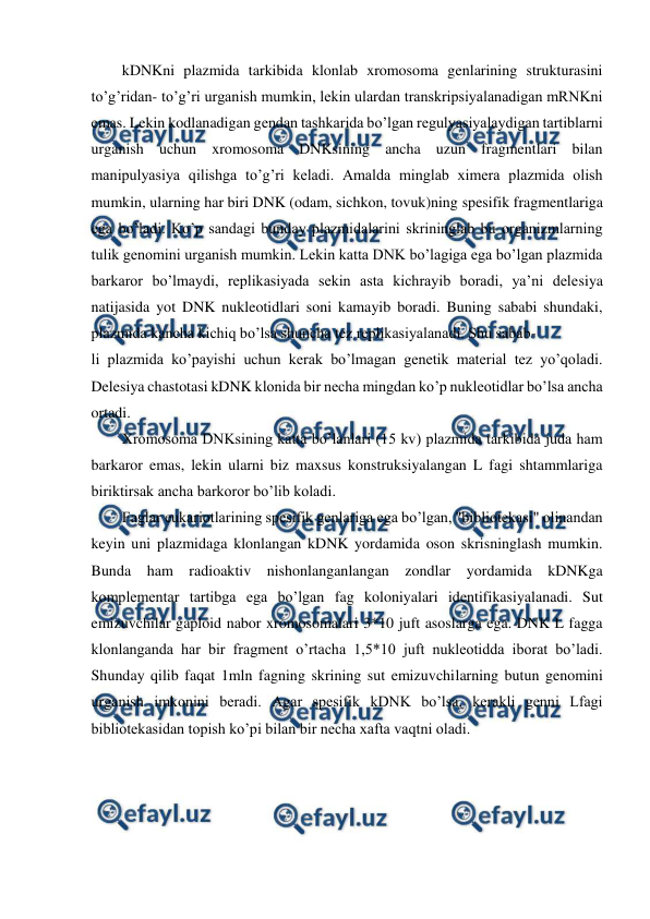  
 
kDNKni plazmida tarkibida klonlab xromosoma genlarining strukturasini 
to’g’ridan- to’g’ri urganish mumkin, lekin ulardan transkripsiyalanadigan mRNKni 
emas. Lekin kodlanadigan gendan tashkarida bo’lgan regulyasiyalaydigan tartiblarni 
urganish uchun xromosoma DNKsining ancha uzun fragmentlari bilan 
manipulyasiya qilishga to’g’ri keladi. Amalda minglab ximera plazmida olish 
mumkin, ularning har biri DNK (odam, sichkon, tovuk)ning spesifik fragmentlariga 
ega bo’ladi. Ko’p sandagi bunday plazmidalarini skrininglab bu organizmlarning 
tulik genomini urganish mumkin. Lekin katta DNK bo’lagiga ega bo’lgan plazmida 
barkaror bo’lmaydi, replikasiyada sekin asta kichrayib boradi, ya’ni delesiya 
natijasida yot DNK nukleotidlari soni kamayib boradi. Buning sababi shundaki, 
plazmida kancha kichiq bo’lsa shuncha tez replikasiyalanadi. Shu sabab- 
li plazmida ko’payishi uchun kerak bo’lmagan genetik material tez yo’qoladi. 
Delesiya chastotasi kDNK klonida bir necha mingdan ko’p nukleotidlar bo’lsa ancha 
ortadi. 
Xromosoma DNKsining katta bo’lanlari (15 kv) plazmida tarkibida juda ham 
barkaror emas, lekin ularni biz maxsus konstruksiyalangan L fagi shtammlariga 
biriktirsak ancha barkoror bo’lib koladi. 
Faglar eukariotlarining spesifik genlariga ega bo’lgan, "bibliotekasi" olinandan 
keyin uni plazmidaga klonlangan kDNK yordamida oson skrisninglash mumkin. 
Bunda ham radioaktiv nishonlanganlangan zondlar yordamida kDNKga 
komplementar tartibga ega bo’lgan fag koloniyalari identifikasiyalanadi. Sut 
emizuvchilar gaploid nabor xromosomalari 3*10 juft asoslarga ega. DNK L fagga 
klonlanganda har bir fragment o’rtacha 1,5*10 juft nukleotidda iborat bo’ladi. 
Shunday qilib faqat 1mln fagning skrining sut emizuvchilarning butun genomini 
urganish imkonini beradi. Agar spesifik kDNK bo’lsa, kerakli genni Lfagi 
bibliotekasidan topish ko’pi bilan bir necha xafta vaqtni oladi. 
 
