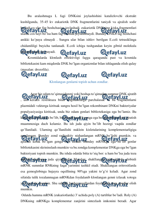  
 
Bu aralashmaga L fagi DNKsini joylashishini katalizlovchi ekstrakt 
kushilganda, 35-45 kv eukariotik DNK fragmentlarini taniydi va ajralish sodir 
bo’ladi va ular fag boshchasiga joylashadi. eukariotik DNKning kiska fragmentlari 
ularda cos-sayt bo’lsa ham fag boshida joylashmaydi. Bunday DNKli fag boshchasi 
anikki ko’paya olmaydi . Sungra ular bilan ishlov berilgan E.coli tetrasiklinga 
chidamliligi buyicha tanlanadi. E.coli ichiga tushgandan keyin gibrid molekula 
plazmida kabi ko’payadi. 
Kosmidalarda klonlash effektivligi fagga qaraganda past va kosmida 
bibliotekasini kam miqdorda DNK bo’lgan organizmlar bilan ishlaganda olish qulay 
(masalan: drozofila). 
 
 Klonlangan genlarni topish uchun zondlar. 
 
 Agar biz odam to’qimasidanmi yoki boshqa to’qimadan summar DNK ajratib 
, uni kerakli restriktaza bilan fragmentlarga parchalasak va bu fragmentlarni 
plazmidali vektorga kiritsak sungra hosil bo’lgan rekombinant DNKni bakteriyalar 
populyasiyasiga kiritisak, unda biz odam genlari bibliotekasiga ega bo’lamiz. Bu 
katalogsiz biblioteka bo’lib, biz bunda kerakli genga ega bo’lgan bakteriyani ajratish 
muammosiga duch kelamiz. Bu ish juda qiyin bo’lib hozirgi vaqtda zondlar 
qo’llaniladi. Ularning qo’llanilishi nuklein kislotalarining komplementarligiga 
asoslangan. Bunday zond radioaktiv nishanlangan mRNK bo’lishi mumkin. va 
ajratish kerak bo’lgan genga mos keladi. Bunday mRNKga ega bo’lib genlar 
bibliotekasini skrininslash mumkin va bu zondga komplementar DNKga ega bo’lgan 
bakteriyani topish mumkin. Bu ishda odatda bitta to’siq bor: u ham bo’lsa juda toza 
mRNK olishining juda qiyinligidir. Masalan: shakllangan eritrositlarda globinli 
mRNK summlar RNKning faqat yarimini tashkil etadi. Shakllangan eritrositlarda 
esa gemoglobinga hujayra oqsillining 90%ga yakini to’g’ri keladi. Agar zond 
sifatida tulik tozalanmagan mRNKdan foydalanib klonlangan genni izlasak xotoga 
yo’l quyishi mumkin. Shu sababli boshqa usullardan foydalanib toza zondlar olish 
mumkin. 
 Odatda hamma mRNK (eukariotlarda) 3' uchida poly (A) tartiblar bo’ladi. Roly (A) 
DNKning mRNKga komplementar zanjirini sintezlash imkonini beradi. Agar 
