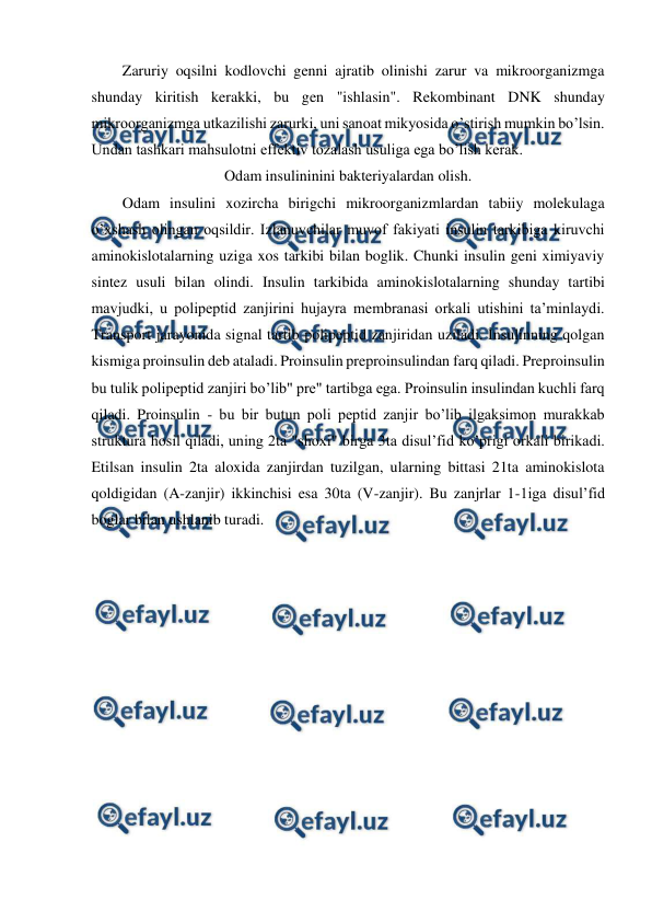  
 
Zaruriy oqsilni kodlovchi genni ajratib olinishi zarur va mikroorganizmga 
shunday kiritish kerakki, bu gen "ishlasin". Rekombinant DNK shunday 
mikroorganizmga utkazilishi zarurki, uni sanoat mikyosida o’stirish mumkin bo’lsin. 
Undan tashkari mahsulotni effektiv tozalash usuliga ega bo’lish kerak. 
Odam insulininini bakteriyalardan olish. 
Odam insulini xozircha birigchi mikroorganizmlardan tabiiy molekulaga 
o’xshash olingan oqsildir. Izlanuvchilar muvof fakiyati insulin tarkibiga kiruvchi 
aminokislotalarning uziga xos tarkibi bilan boglik. Chunki insulin geni ximiyaviy 
sintez usuli bilan olindi. Insulin tarkibida aminokislotalarning shunday tartibi 
mavjudki, u polipeptid zanjirini hujayra membranasi orkali utishini ta’minlaydi. 
Transport jarayonida signal tartib polipeptid zanjiridan uziladi. Insulinning qolgan 
kismiga proinsulin deb ataladi. Proinsulin preproinsulindan farq qiladi. Preproinsulin 
bu tulik polipeptid zanjiri bo’lib" pre" tartibga ega. Proinsulin insulindan kuchli farq 
qiladi. Proinsulin - bu bir butun poli peptid zanjir bo’lib ilgaksimon murakkab 
struktura hosil qiladi, uning 2ta "shoxi" birga 3ta disul’fid ko’prigi orkali birikadi. 
Etilsan insulin 2ta aloxida zanjirdan tuzilgan, ularning bittasi 21ta aminokislota 
qoldigidan (A-zanjir) ikkinchisi esa 30ta (V-zanjir). Bu zanjrlar 1-1iga disul’fid 
boglar bilan ushlanib turadi. 
 
