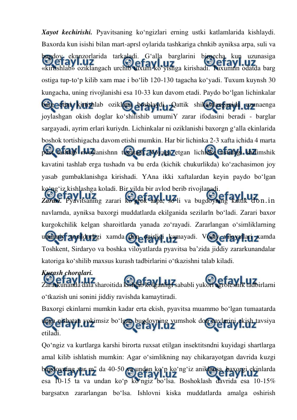 
 
Xayot kechirishi. Pyavitsaning ko‘ngizlari erning ustki katlamlarida kishlaydi. 
Baxorda kun isishi bilan mart-aprsl oylarida tashkariga chnkib ayniksa arpa, suli va 
bugdoy eknnzorlarida tarkaladi. G‘alla barglarini birnecha kun uzunasiga 
«kirtishlab» oziklangach urchib tuxum ko‘yishga kirishadi. Tuxumnn odatda barg 
ostiga tup-to‘p kilib xam mae i bo‘lib 120-130 tagacha ko‘yadi. Tuxum kuynsh 30 
kungacha, uning rivojlanishi esa 10-33 kun davom etadi. Paydo bo‘lgan lichinkalar 
barg etini kirtishlab oziklana boshlaydi. Qattik shikastlanganida uzunaenga 
joylashgan okish doglar ko‘shilishib umumiY zarar ifodasini beradi - barglar 
sargayadi, ayrim erlari kuriydn. Lichinkalar ni oziklanishi baxorgn g‘alla ekinlarida 
boshok tortishigacha davom etishi mumkin. Har bir lichinka 2-3 xafta ichida 4 marta 
pust tashlab rivojlanishnn tugatadi. Voyaga etgan lichinka ustidagi shilimshik 
kavatini tashlab erga tushadn va bu erda (kichik chukurlikda) ko‘zachasimon joy 
yasab gumbaklanishga kirishadi. YAna ikki xaftalardan keyin paydo bo‘lgan 
ko‘ng‘iz kishlashga koladi. Bir yilda bir avlod berib rivojlanadi. 
Zarari. Pyavitsaning zarari ko‘prok arpa, so‘li va bugdoyning kattik don.in 
navlarnda, ayniksa baxorgi muddatlarda ekilganida sezilarln bo‘ladi. Zarari baxor 
kurgokchilik kelgan sharoitlarda yanada zo‘rayadi. Zararlangan o‘simliklarning 
umumiy xosildorligi xamda don ogirligi kamayadi. Vodiy viloyatlari xamda 
Toshkent, Sirdaryo va boshka viloyatlarda pyavitsa ba’zida jiddiy zararkunandalar 
katoriga ko‘shilib maxsus kurash tadbirlarini o‘tkazishni talab kiladi. 
Kurash choralari. 
Zararkunanda dala sharoitida kishlab kolganligi sababli yukori agrotexnik tadbirlarni 
o‘tkazish uni sonini jiddiy ravishda kamaytiradi. 
Baxorgi ekinlarni mumkin kadar erta ekish, pyavitsa muammo bo‘lgan tumaatarda 
unga nisbatan yokimsiz bo‘lgan bugdoyning yumshok don navlarini ekish tavsiya 
etiladi. 
Qo‘ngiz va kurtlarga karshi birorta ruxsat etilgan insektitsndni kuyidagi shartlarga 
amal kilib ishlatish mumkin: Agar o‘simlikning nay chikarayotgan davrida kuzgi 
bugdoyning xar m" da 40-50 va undan ko‘p ko‘ng‘iz aniklansa, baxorgi ekinlarda 
esa 10-15 ta va undan ko‘p ko‘ngiz bo‘lsa. Boshoklash davrida esa 10-15% 
bargsatxn zararlangan bo‘lsa. Ishlovni kiska muddatlarda amalga oshirish 
