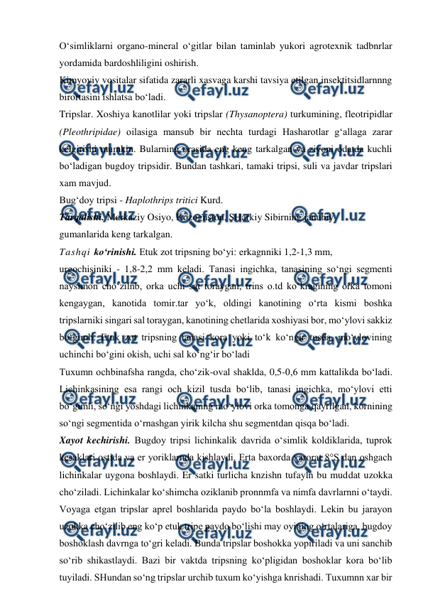  
 
O‘simliklarni organo-mineral o‘gitlar bilan taminlab yukori agrotexnik tadbnrlar 
yordamida bardoshliligini oshirish. 
Kimyoviy vositalar sifatida zararli xasvaga karshi tavsiya etilgan insektitsidlarnnng 
birortasini ishlatsa bo‘ladi. 
Tripslar. Xoshiya kanotlilar yoki tripslar (Thysanoptera) turkumining, fleotripidlar 
(Pleothripidae) oilasiga mansub bir nechta turdagi Hasharotlar g‘allaga zarar 
kelgirishi mumkin. Bularning orasida eng keng tarkalgan va ziyoni odatda kuchli 
bo‘ladigan bugdoy tripsidir. Bundan tashkari, tamaki tripsi, suli va javdar tripslari 
xam mavjud. 
Bug‘doy tripsi - Haplothrips tritici Kurd. 
Tarqalishi. Markaziy Osiyo, Kozognston, SHarkiy Sibirning janubiy 
gumanlarida keng tarkalgan. 
Tashqi ko‘rinishi. Etuk zot tripsning bo‘yi: erkagnniki 1,2-1,3 mm, 
urgochisiniki - 1,8-2,2 mm keladi. Tanasi ingichka, tanasining so‘ngi segmenti 
naysimon cho‘zilnb, orka uchi sat toraygan, trins o.td ko‘kragining orka tomoni 
kengaygan, kanotida tomir.tar yo‘k, oldingi kanotining o‘rta kismi boshka 
tripslarniki singari sal toraygan, kanotining chetlarida xoshiyasi bor, mo‘ylovi sakkiz 
bo‘gimli. Etuk zot tripsning tanasi kora yoki to‘k ko‘ngir tusda, mo‘ylovining 
uchinchi bo‘gini okish, uchi sal ko‘ng‘ir bo‘ladi  
Tuxumn ochbinafsha rangda, cho‘zik-oval shaklda, 0,5-0,6 mm kattalikda bo‘ladi. 
Lichinkasining esa rangi och kizil tusda bo‘lib, tanasi ingichka, mo‘ylovi etti 
bo‘gimli, so‘ngi yoshdagi lichinkaning mo‘ylovi orka tomonga qayrilgan, kornining 
so‘ngi segmentida o‘rnashgan yirik kilcha shu segmentdan qisqa bo‘ladi. 
Xayot kechirishi. Bugdoy tripsi lichinkalik davrida o‘simlik koldiklarida, tuprok 
kesaklari ostida va er yoriklarnda kishlaydi. Erta baxorda xarorat 8°S dan oshgach 
lichinkalar uygona boshlaydi. Er satki turlicha knzishn tufayln bu muddat uzokka 
cho‘ziladi. Lichinkalar ko‘shimcha oziklanib pronnmfa va nimfa davrlarnni o‘taydi. 
Voyaga etgan tripslar aprel boshlarida paydo bo‘la boshlaydi. Lekin bu jarayon 
uzokka cho‘zilib eng ko‘p etuk tripe paydo bo‘lishi may oyining o‘rtalariga, bugdoy 
boshoklash davrnga to‘gri keladi. Bunda tripslar boshokka yopiriladi va uni sanchib 
so‘rib shikastlaydi. Bazi bir vaktda tripsning ko‘pligidan boshoklar kora bo‘lib 
tuyiladi. SHundan so‘ng tripslar urchib tuxum ko‘yishga knrishadi. Tuxumnn xar bir 
