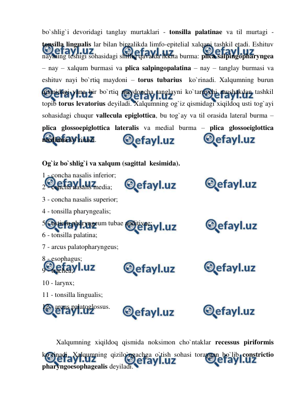  
 
bo`shlig`i devoridagi tanglay murtaklari - tonsilla palatinae va til murtagi - 
tonsilla lingualis lar bilan birgalikda limfo-epitelial xalqani tashkil etadi. Eshituv 
nayining teshigi sohasidagi shilliq qavatda ikkita burma: plica salpingopharyngea 
– nay – xalqum burmasi va plica salpingopalatina – nay – tanglay burmasi va 
eshituv nayi bo`rtiq maydoni – torus tubarius  ko`rinadi. Xalqumning burun 
qismidagi yana bir bo`rtiq maydoncha tanglayni ko`taruvchi mushakdan tashkil 
topib torus levatorius deyiladi. Xalqumning og`iz qismidagi xiqildoq usti tog`ayi 
sohasidagi chuqur vallecula epiglottica, bu tog`ay va til orasida lateral burma – 
plica glossoepiglottica lateralis va medial burma – plica glossoeiglottica 
mediana ko`rinadi.  
 
Og`iz bo`shlig`i va xalqum (sagittal  kesimida).    
1 - concha nasalis inferior;  
2 - concha nasalis media;  
3 - concha nasalis superior;  
4 - tonsilla pharyngealis;  
5 - ostium pharyngeum tubae auditivae;  
6 - tonsilla palatina;  
7 - arcus palatopharyngeus;  
8 - esophagus;  
9 - trachea;  
10 - larynx;  
11 - tonsilla lingualis;  
12 - arcus palatoglossus.          
  
 
Xalqumning xiqildoq qismida noksimon cho`ntaklar recessus piriformis 
ko`rinadi. Xalqumning qizilo`ngachga o`tish sohasi toraygan bo`lib constrictio 
pharyngoesophagealis deyiladi.  
