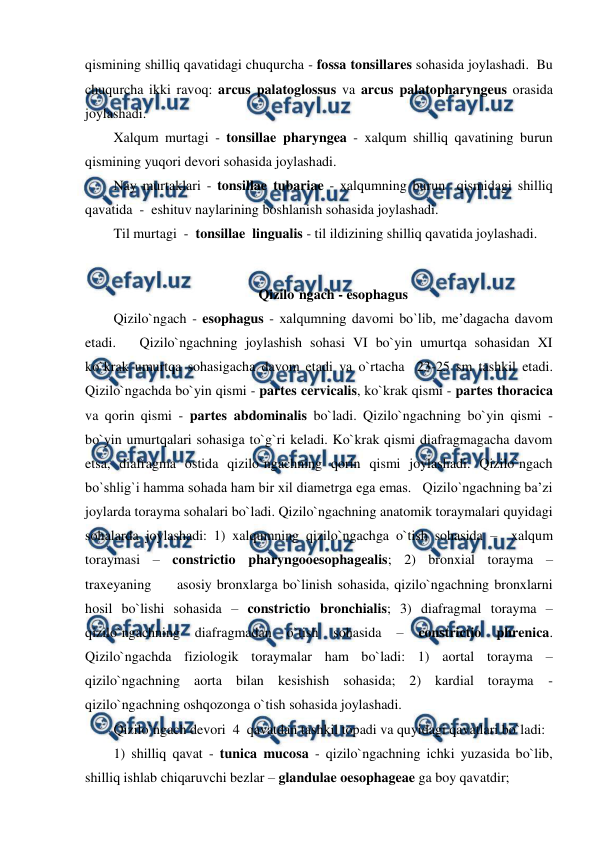  
 
qismining shilliq qavatidagi chuqurcha - fossa tonsillares sohasida joylashadi.  Bu 
chuqurcha ikki ravoq: arcus palatoglossus va arcus palatopharyngeus orasida 
joylashadi.  
Xalqum murtagi - tonsillae pharyngea - xalqum shilliq qavatining burun 
qismining yuqori devori sohasida joylashadi.  
Nay murtaklari - tonsillae tubariae - xalqumning burun  qismidagi shilliq  
qavatida  -  eshituv naylarining boshlanish sohasida joylashadi.  
Til murtagi  -  tonsillae  lingualis - til ildizining shilliq qavatida joylashadi.  
     
Qizilo`ngach - esophagus 
Qizilo`ngach - esophagus - xalqumning davomi bo`lib, me’dagacha davom 
etadi.   Qizilo`ngachning joylashish sohasi VI bo`yin umurtqa sohasidan XI 
ko`krak umurtqa sohasigacha davom etadi va o`rtacha  23-25 sm tashkil etadi. 
Qizilo`ngachda bo`yin qismi - partes cervicalis, ko`krak qismi - partes thoracica 
va qorin qismi - partes abdominalis bo`ladi. Qizilo`ngachning bo`yin qismi - 
bo`yin umurtqalari sohasiga to`g`ri keladi. Ko`krak qismi diafragmagacha davom 
etsa, diafragma ostida qizilo`ngachning qorin qismi joylashadi. Qizilo`ngach 
bo`shlig`i hamma sohada ham bir xil diametrga ega emas.   Qizilo`ngachning ba’zi 
joylarda torayma sohalari bo`ladi. Qizilo`ngachning anatomik toraymalari quyidagi 
sohalarda joylashadi: 1) xalqumning qizilo`ngachga o`tish sohasida –  xalqum 
toraymasi – constrictio pharyngooesophagealis; 2) bronxial torayma – 
traxeyaning     asosiy bronxlarga bo`linish sohasida, qizilo`ngachning bronxlarni 
hosil bo`lishi sohasida – constrictio bronchialis; 3) diafragmal torayma – 
qizilo`ngachning 
diafragmadan 
o`tish 
sohasida 
– 
constrictio 
phrenica. 
Qizilo`ngachda fiziologik toraymalar ham bo`ladi: 1) aortal torayma – 
qizilo`ngachning aorta bilan kesishish sohasida; 2) kardial torayma - 
qizilo`ngachning oshqozonga o`tish sohasida joylashadi.  
Qizilo`ngach devori  4  qavatdan tashkil topadi va quyidagi qavatlari bo`ladi:  
1) shilliq qavat - tunica mucosa - qizilo`ngachning ichki yuzasida bo`lib,  
shilliq ishlab chiqaruvchi bezlar – glandulae oesophageae ga boy qavatdir;  
