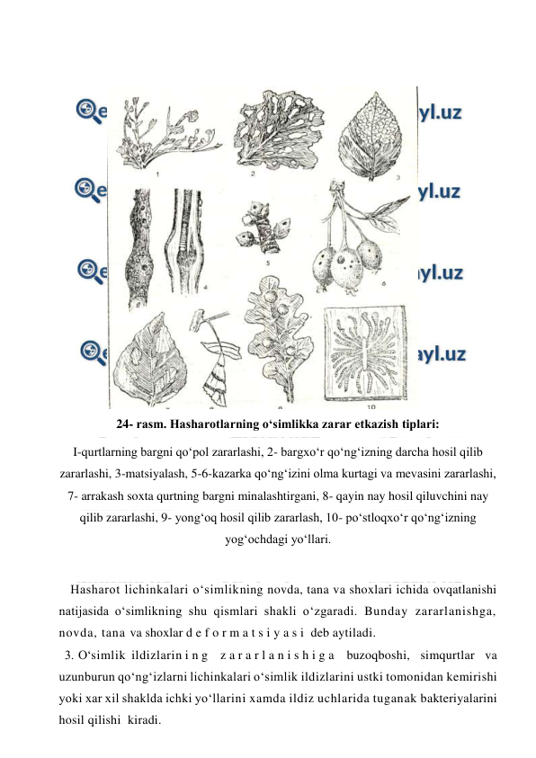  
 
 
24- rasm. Hasharotlarning o‘simlikka zarar etkazish tiplari: 
I-qurtlarning bargni qo‘pol zararlashi, 2- bargxo‘r qo‘ng‘izning darcha hosil qilib 
zararlashi, 3-matsiyalash, 5-6-kazarka qo‘ng‘izini olma kurtagi va mevasini zararlashi, 
7- arrakash soxta qurtning bargni minalashtirgani, 8- qayin nay hosil qiluvchini nay 
qilib zararlashi, 9- yong‘oq hosil qilib zararlash, 10- po‘stloqxo‘r qo‘ng‘izning 
yog‘ochdagi yo‘llari. 
 
Hasharot lichinkalari o‘simlikning novda, tana va shoxlari ichida ovqatlanishi 
natijasida o‘simlikning shu qismlari shakli o‘zgaradi. Bunday zararlanishga, 
novda, tana va shoxlar d e f o r m a t s i y a s i  deb aytiladi. 
  3. O‘simlik ildizlarin i n g   z a r a r l a n i s h i g a   buzoqboshi,  simqurtlar  va  
uzunburun qo‘ng‘izlarni lichinkalari o‘simlik ildizlarini ustki tomonidan kemirishi 
yoki xar xil shaklda ichki yo‘llarini xamda ildiz uchlarida tuganak bakteriyalarini  
hosil qilishi  kiradi. 
