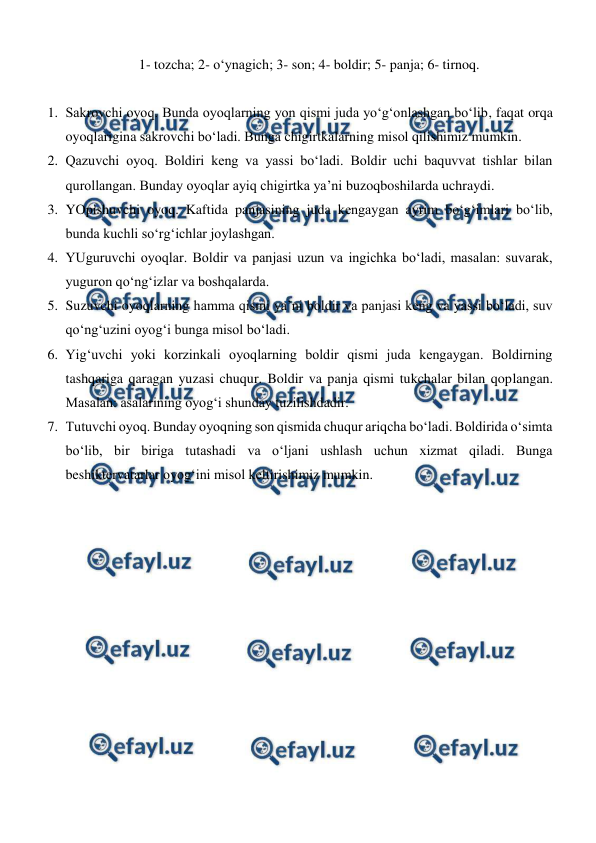  
 
1- tozcha; 2- o‘ynagich; 3- son; 4- boldir; 5- panja; 6- tirnoq. 
 
1. Sakrovchi oyoq. Bunda oyoqlarning yon qismi juda yo‘g‘onlashgan bo‘lib, faqat orqa 
oyoqlarigina sakrovchi bo‘ladi. Bunga chigirtkalarning misol qilishimiz mumkin. 
2. Qazuvchi oyoq. Boldiri keng va yassi bo‘ladi. Boldir uchi baquvvat tishlar bilan 
qurollangan. Bunday oyoqlar ayiq chigirtka ya’ni buzoqboshilarda uchraydi. 
3. YOpishuvchi oyoq. Kaftida panjasining juda kengaygan ayrim bo‘g‘imlari bo‘lib, 
bunda kuchli so‘rg‘ichlar joylashgan. 
4. YUguruvchi oyoqlar. Boldir va panjasi uzun va ingichka bo‘ladi, masalan: suvarak, 
yuguron qo‘ng‘izlar va boshqalarda. 
5. Suzuvchi oyoqlarning hamma qismi ya’ni boldir va panjasi keng va yassi bo‘ladi, suv 
qo‘ng‘uzini oyog‘i bunga misol bo‘ladi. 
6. Yig‘uvchi yoki korzinkali oyoqlarning boldir qismi juda kengaygan. Boldirning 
tashqariga qaragan yuzasi chuqur. Boldir va panja qismi tukchalar bilan qoplangan. 
Masalan: asalarining oyog‘i shunday tuzilishdadir. 
7. Tutuvchi oyoq. Bunday oyoqning son qismida chuqur ariqcha bo‘ladi. Boldirida o‘simta 
bo‘lib, bir biriga tutashadi va o‘ljani ushlash uchun xizmat qiladi. Bunga 
beshiktervatarlar oyog‘ini misol keltirishimiz mumkin. 
