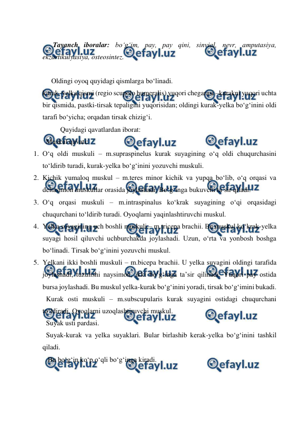  
 
 
 Tayanch iboralar: bo‘g‘im, pay, pay qini, sinvial, nevr, amputasiya, 
ekzartikulyasiya, osteosintez. 
 
Oldingi oyoq quyidagi qismlarga bo‘linadi. 
kurak–yelka qismi (regio scupolo humeralis) yuqori chegarasi –kurakni yuqori uchta 
bir qismida, pastki-tirsak tepaligini yuqorisidan; oldingi kurak-yelka bo‘g‘inini oldi 
tarafi bo‘yicha; orqadan tirsak chizig‘i. 
 
Quyidagi qavatlardan iborat: 
  Muskul qavati:  
1. O‘q oldi muskuli – m.supraspinelus kurak suyagining o‘q oldi chuqurchasini 
to‘ldirib turadi, kurak-yelka bo‘g‘inini yozuvchi muskuli. 
2. Kichik yumaloq muskul – m.teres minor kichik va yupqa bo‘lib, o‘q orqasi va 
deltasimon muskullar orasida joylashadi. Bo‘g‘inga bukuvchi ta’sir qiladi. 
3. O‘q orqasi muskuli – m.intraspinalus ko‘krak suyagining o‘qi orqasidagi 
chuqurchani to‘ldirib turadi. Oyoqlarni yaqinlashtiruvchi muskul. 
4. Yelka suyagining uch boshli muskuli – m.tricepa brachii. Bu muskul ko‘krak-yelka 
suyagi hosil qiluvchi uchburchakda joylashadi. Uzun, o‘rta va yonbosh boshga 
bo‘linadi. Tirsak bo‘g‘inini yozuvchi muskul. 
5. Yelkani ikki boshli muskuli – m.bicepa brachii. U yelka suyagini oldingi tarafida 
joylashadi, tuzulishi naysimon, ikki bo‘g‘inga ta’sir qilinadi. Yuqori pay ostida 
bursa joylashadi. Bu muskul yelka-kurak bo‘g‘inini yoradi, tirsak bo‘g‘imini bukadi. 
  Kurak osti muskuli – m.subscupularis kurak suyagini ostidagi chuqurchani 
to‘ldiradi. Oyoqlarni uzoqlashtiruvchi muskul. 
  Suyak usti pardasi. 
  Suyak-kurak va yelka suyaklari. Bular birlashib kerak-yelka bo‘g‘inini tashkil 
qiladi. 
   Bu bo‘g‘in ko‘p o‘qli bo‘g‘inga kiradi. 
