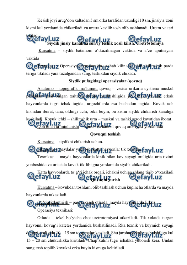  
 
Kesish joyi urug‘don xaltadan 5 sm orka tarafidan uzunligi 10 sm. jinsiy a’zoni 
kismi kul yordamida chikariladi va uretra kesilib tosh olib tashlanadi. Uretra va teri 
tikiladi. 
Siydik jinsiy kanalida sun’iy teshik xosil kilish. Uretrostomiya 
 Kursatma – siydik batamom o‘tkazilmagan vaktida va a’zo aputisiyasi 
vaktida  
Texnikasi – Operasiya uretrotomiya uxshab kilinadi, lekin shilimshik parda 
teriga tikiladi yara tuzalgandan sung, teshikdan siydik chikadi. 
Siydik pufagidagi operasiyalar (qovuq) 
Anatomo – topografik ma’lumot: qovuq – vesica urikaria cystiena muskul 
pardadan xosil bulgan xaltacha bulib, tos bushligida joylashgan buladi, erkak 
hayvonlarda tugri ichak tagida, urgochilarda esa bachadon tagida. Kovuk uch 
kismdan iborat, tana, oldingi uchi, orka buyin, bu kismi siydik chikarish kanaliga 
kushiladi. Kovuk ichki – shilimshik urta – muskul va tashki serod kavatidan iborat. 
Qon bilan ta’minlanishi – kranial va kaudal qovuq arteriyasi yordamida 
Qovuqni teshish 
Kursatma – siydikni chikarish uchun.  
Fiksasiya – maydalar yonbosh, katta hayvonlar tik xolatda.  
Texnikasi – mayda hayvonlarda kinik bilan kov suyagi oraligida urta tizimi 
yonboshida va urtasida kovuk tikilib igna yordamida siydik chikariladi. 
Katta hayvonlarda to‘g‘ri ichak orqali, ichakni uchiga shlang tiqib o‘tkaziladi 
Qovuqni yorish 
Kursatma – kovukdan toshlarni olib tashlash uchun kupincha otlarda va mayda 
hayvonlarda utkaziladi. 
Og‘riqsizlantirish – past sakrash otlarda, mayda hayvonlarda lirkoz 
Operasiya texnikasi:  
Otlarda – tekel bo‘yicha chot uretrotomiyasi utkaziladi. Tik xolatda turgan 
hayvonni kovug‘i kateter yordamida bushatilinadi. Rka texnik va kuymich suyagi 
dunggi oraligida 10 – 15 sm to‘qimalar kesiladi. Shu jarohat orkali tos bulshiliga kul 
15 – 20 sm chukurlikka kiritiladi. Chap kulini tugri ichakka yuborish kera. Undan 
sung tosh topilib kovukni orka buyin kismiga keltiriladi. 
