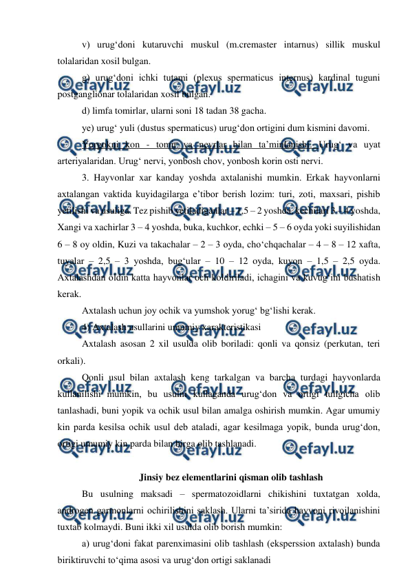  
 
v) urug‘doni kutaruvchi muskul (m.cremaster intarnus) sillik muskul 
tolalaridan xosil bulgan. 
g) urug‘doni ichki tutami (plexus spermaticus internus) kardinal tuguni 
postganglionar tolalaridan xosil bulgan. 
d) limfa tomirlar, ularni soni 18 tadan 38 gacha.  
ye) urug‘ yuli (dustus spermaticus) urug‘don ortigini dum kismini davomi. 
Yorgokni kon - tomir va nevrlar bilan ta’minlanishi. Urug‘ va uyat 
arteriyalaridan. Urug‘ nervi, yonbosh chov, yonbosh korin osti nervi.  
3. Hayvonlar xar kanday yoshda axtalanishi mumkin. Erkak hayvonlarni 
axtalangan vaktida kuyidagilarga e’tibor berish lozim: turi, zoti, maxsari, pishib 
yetilishi va usuliga. Tez pishib yetiladiganlar – 1,5 – 2 yoshda, kechilari 3 – 4 yoshda, 
Xangi va xachirlar 3 – 4 yoshda, buka, kuchkor, echki – 5 – 6 oyda yoki suyilishidan 
6 – 8 oy oldin, Kuzi va takachalar – 2 – 3 oyda, cho‘chqachalar – 4 – 8 – 12 xafta, 
tuyalar – 2,5 – 3 yoshda, bug‘ular – 10 – 12 oyda, kuyon – 1,5 – 2,5 oyda. 
Axtalashdan oldin katta hayvonlar och koldiriladi, ichagini va kuvug‘ini bushatish 
kerak. 
Axtalash uchun joy ochik va yumshok yorug‘ bg‘lishi kerak. 
4) Axtalash usullarini umumiy xarakteristikasi  
Axtalash asosan 2 xil usulda olib boriladi: qonli va qonsiz (perkutan, teri 
orkali). 
Qonli usul bilan axtalash keng tarkalgan va barcha turdagi hayvonlarda 
kullanilishi mumkin, bu usulni kullaganda urug‘don va ortigi tuligicha olib 
tanlashadi, buni yopik va ochik usul bilan amalga oshirish mumkin. Agar umumiy 
kin parda kesilsa ochik usul deb ataladi, agar kesilmaga yopik, bunda urug‘don, 
ortigi umumiy kin parda bilan birga olib tashlanadi. 
 
Jinsiy bez elementlarini qisman olib tashlash 
Bu usulning maksadi – spermatozoidlarni chikishini tuxtatgan xolda, 
androgen garmonlarni ochirilishini saklash. Ularni ta’sirida hayvoni rivojlanishini 
tuxtab kolmaydi. Buni ikki xil usulda olib borish mumkin: 
a) urug‘doni fakat parenximasini olib tashlash (eksperssion axtalash) bunda 
biriktiruvchi to‘qima asosi va urug‘don ortigi saklanadi 
