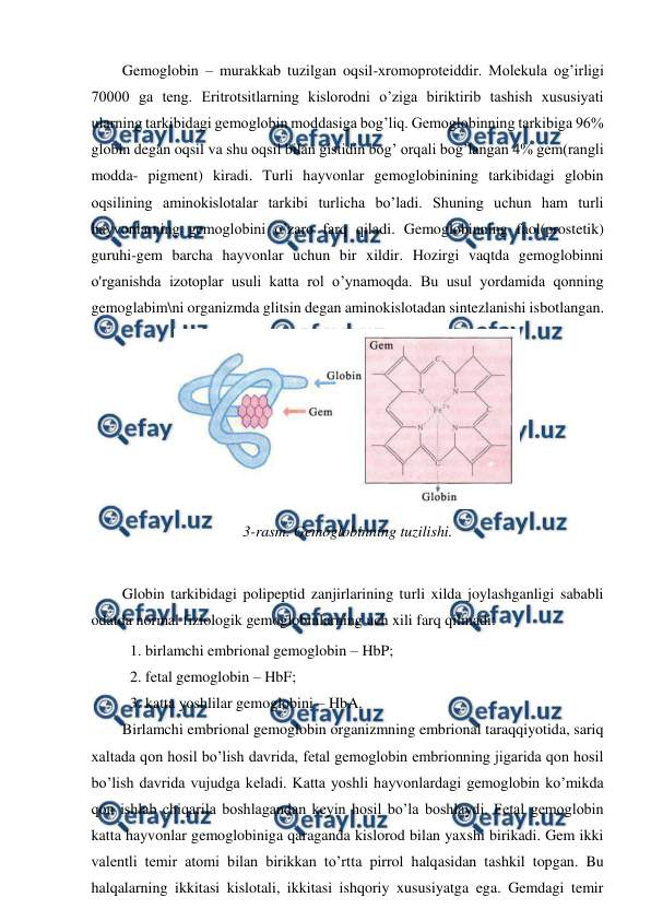  
 
Gemoglobin – murakkab tuzilgan oqsil-xromoproteiddir. Molekula og’irligi 
70000 ga teng. Eritrotsitlarning kislorodni o’ziga biriktirib tashish xususiyati 
ularning tarkibidagi gemoglobin moddasiga bog’liq. Gemoglobinning tarkibiga 96% 
globin degan oqsil va shu oqsil bilan gistidin bog’ orqali bog’langan 4% gem(rangli 
modda- pigment) kiradi. Turli hayvonlar gemoglobinining tarkibidagi globin 
oqsilining aminokislotalar tarkibi turlicha bo’ladi. Shuning uchun ham turli 
hayvonlarning gemoglobini o’zaro farq qiladi. Gemoglobinning faol(prostetik) 
guruhi-gem barcha hayvonlar uchun bir xildir. Hozirgi vaqtda gemoglobinni 
o'rganishda izotoplar usuli katta rol o’ynamoqda. Bu usul yordamida qonning 
gemoglabim\ni organizmda glitsin degan aminokislotadan sintezlanishi isbotlangan.  
 
3-rasm. Gemoglobinning tuzilishi. 
 
Globin tarkibidagi polipeptid zanjirlarining turli xilda joylashganligi sababli 
odatda normal fiziologik gemoglobinlarning uch xili farq qilinadi:  
 1. birlamchi embrional gemoglobin – HbP; 
 2. fetal gemoglobin – HbF;         
 3. katta yoshlilar gemoglobini – HbA. 
Birlamchi embrional gemoglobin organizmning embrional taraqqiyotida, sariq 
xaltada qon hosil bo’lish davrida, fetal gemoglobin embrionning jigarida qon hosil 
bo’lish davrida vujudga keladi. Katta yoshli hayvonlardagi gemoglobin ko’mikda 
qon ishlab chiqarila boshlagandan keyin hosil bo’la boshlaydi. Fetal gemoglobin 
katta hayvonlar gemoglobiniga qaraganda kislorod bilan yaxshi birikadi. Gem ikki 
valentli temir atomi bilan birikkan to’rtta pirrol halqasidan tashkil topgan. Bu 
halqalarning ikkitasi kislotali, ikkitasi ishqoriy xususiyatga ega. Gemdagi temir 
