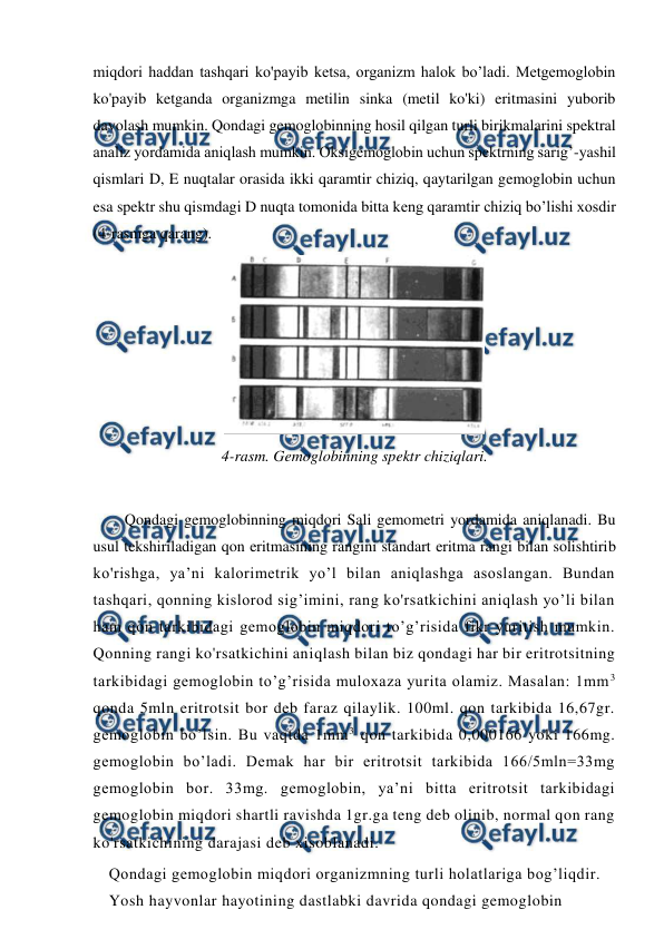  
 
miqdori haddan tashqari ko'payib ketsa, organizm halok bo’ladi. Metgemoglobin 
ko'payib ketganda organizmga metilin sinka (metil ko'ki) eritmasini yuborib 
davolash mumkin. Qondagi gemoglobinning hosil qilgan turli birikmalarini spektral 
analiz yordamida aniqlash mumkin. Oksigemoglobin uchun spektrning sarig’-yashil 
qismlari D, E nuqtalar orasida ikki qaramtir chiziq, qaytarilgan gemoglobin uchun 
esa spektr shu qismdagi D nuqta tomonida bitta keng qaramtir chiziq bo’lishi xosdir 
(4-rasmga qarang).  
 
4-rasm. Gemoglobinning spektr chiziqlari. 
 
Qondagi gemoglobinning miqdori Sali gemometri yordamida aniqlanadi. Bu 
usul tekshiriladigan qon eritmasining rangini standart eritma rangi bilan solishtirib 
ko'rishga, ya’ni kalorimetrik yo’l bilan aniqlashga asoslangan. Bundan 
tashqari, qonning kislorod sig’imini, rang ko'rsatkichini aniqlash yo’li bilan 
ham qon tarkibidagi gemoglobin miqdori to’g’risida fikr yuritish mumkin. 
Qonning rangi ko'rsatkichini aniqlash bilan biz qondagi har bir eritrotsitning 
tarkibidagi gemoglobin to’g’risida muloxaza yurita olamiz. Masalan: 1mm 3 
qonda 5mln eritrotsit bor deb faraz qilaylik. 100ml. qon tarkibida 16,67gr. 
gemoglobin bo’lsin. Bu vaqtda 1mm3 qon tarkibida 0,000166 yoki 166mg. 
gemoglobin bo’ladi. Demak har bir eritrotsit tarkibida 166/5mln=33mg 
gemoglobin bor. 33mg. gemoglobin, ya’ni bitta eritrotsit tarkibidagi 
gemoglobin miqdori shartli ravishda 1gr.ga teng deb olinib, normal qon rang 
ko'rsatkichining darajasi deb xisoblanadi.  
Qondagi gemoglobin miqdori organizmning turli holatlariga bog’liqdir. 
Yosh hayvonlar hayotining dastlabki davrida qondagi gemoglobin 
