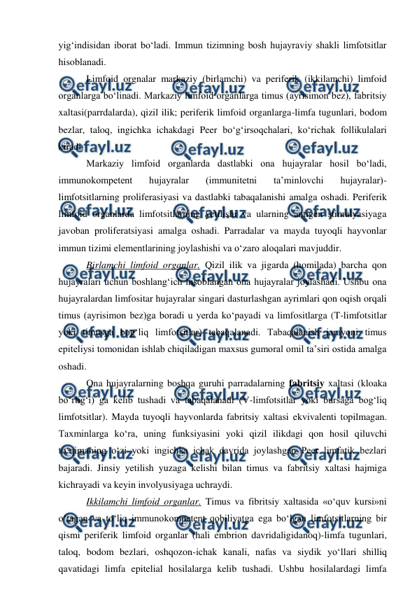  
 
yig‘indisidan iborat bo‘ladi. Immun tizimning bosh hujayraviy shakli limfotsitlar 
hisoblanadi. 
 Limfoid orgnalar markaziy (birlamchi) va periferik (ikkilamchi) limfoid 
organlarga bo‘linadi. Markaziy limfoid organlarga timus (ayrisimon bez), fabritsiy 
xaltasi(parrdalarda), qizil ilik; periferik limfoid organlarga-limfa tugunlari, bodom 
bezlar, taloq, ingichka ichakdagi Peer bo‘g‘irsoqchalari, ko‘richak follikulalari 
kiradi. 
 Markaziy limfoid organlarda dastlabki ona hujayralar hosil bo‘ladi, 
immunokompetent 
hujayralar 
(immunitetni 
ta’minlovchi 
hujayralar)-
limfotsitlarning proliferasiyasi va dastlabki tabaqalanishi amalga oshadi. Periferik 
limfoid organlarda limfotsitlarning yetilishi va ularning antigen stimulyasiyaga 
javoban proliferatsiyasi amalga oshadi. Parradalar va mayda tuyoqli hayvonlar 
immun tizimi elementlarining joylashishi va o‘zaro aloqalari mavjuddir. 
 Birlamchi limfoid organlar. Qizil ilik va jigarda (homilada) barcha qon 
hujayralari uchun boshlang‘ich hisoblangan ona hujayralar joylashadi. Ushbu ona 
hujayralardan limfositar hujayralar singari dasturlashgan ayrimlari qon oqish orqali 
timus (ayrisimon bez)ga boradi u yerda ko‘payadi va limfositlarga (T-limfotsitlar 
yoki timusga bog‘liq limfotsitlar) tabaqalanadi. Tabaqalanish jarayoni timus 
epiteliysi tomonidan ishlab chiqiladigan maxsus gumoral omil ta’siri ostida amalga 
oshadi. 
 Ona hujayralarning boshqa guruhi parradalarning fabritsiy xaltasi (kloaka 
bo‘rtig‘i) ga kelib tushadi va tabaqalanadi (V-limfotsitlar yoki bursaga bog‘liq 
limfotsitlar). Mayda tuyoqli hayvonlarda fabritsiy xaltasi ekvivalenti topilmagan. 
Taxminlarga ko‘ra, uning funksiyasini yoki qizil ilikdagi qon hosil qiluvchi 
to‘qimaning o‘zi yoki ingichka ichak davrida joylashgan Peer limfatik bezlari 
bajaradi. Jinsiy yetilish yuzaga kelishi bilan timus va fabritsiy xaltasi hajmiga 
kichrayadi va keyin involyusiyaga uchraydi. 
 Ikkilamchi limfoid organlar. Timus va fibritsiy xaltasida «o‘quv kursi»ni 
o‘tagan va to‘liq immunokompetent qobiliyatga ega bo‘lgan limfotsitlarning bir 
qismi periferik limfoid organlar (hali embrion davridaligidanoq)-limfa tugunlari, 
taloq, bodom bezlari, oshqozon-ichak kanali, nafas va siydik yo‘llari shilliq 
qavatidagi limfa epitelial hosilalarga kelib tushadi. Ushbu hosilalardagi limfa 
