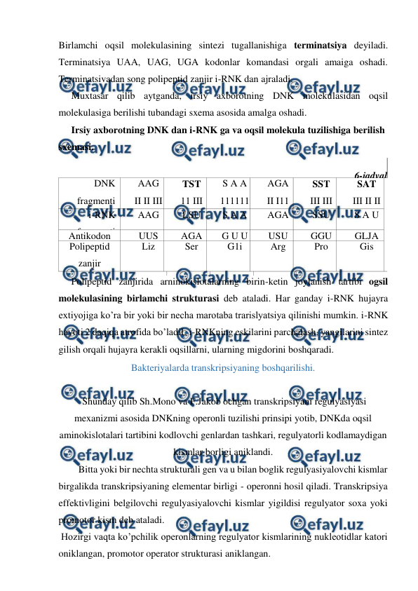  
 
Birlamchi oqsil molekulasining sintezi tugallanishiga terminatsiya deyiladi. 
Terminatsiya UAA, UAG, UGA kodonlar komandasi orgali amaiga oshadi. 
Terminatsivadan song polipeptid zanjir i-RNK dan ajraladi. 
Muxtasar qilib aytganda, irsiy axborotning DNK molekulasidan oqsil 
molekulasiga berilishi tubandagi sxema asosida amalga oshadi. 
Irsiy axborotning DNK dan i-RNK ga va oqsil molekula tuzilishiga berilish 
sxemasi. 
 
6-jadval 
DNK 
fragmenti 
AAG 
II II III 
T T S 
TST 
11 III 
II 
A G A 
S A A 
111111
1 
G T T 
AGA 
II I11 
II 
T S T 
SST 
III III 
II 
G G A 
SAT 
III II II 
G T A 
i-RNK 
fragmenti 
AAG 
LSU 
S A A 
AGA 
SSU 
S A U 
Antikodon 
UUS 
AGA 
G U U 
USU 
GGU 
GLJA 
Polipeptid 
zanjir 
fragmenti 
Liz 
Ser 
G1i 
Arg 
Pro 
Gis 
 
 
 
 
 
 
Polipeptid zanjirida arninokislotalarning birin-ketin joylanish tartibi ogsil 
molekulasining birlamchi strukturasi deb ataladi. Har ganday i-RNK hujayra 
extiyojiga ko’ra bir yoki bir necha marotaba trarislyatsiya qilinishi mumkin. i-RNK 
hayoti 2 daqiqa atrofida bo’ladiL i-RNKning eskilarini parchalash, yangilarini sintez 
gilish orqali hujayra kerakli oqsillarni, ularning migdorini boshqaradi. 
Bakteriyalarda transkripsiyaning boshqarilishi. 
 
 Shunday qilib Sh.Mono va F.Jakob ochgan transkripsiyani regulyasiyasi 
mexanizmi asosida DNKning operonli tuzilishi prinsipi yotib, DNKda oqsil 
aminokislotalari tartibini kodlovchi genlardan tashkari, regulyatorli kodlamaydigan 
kismlar borligi aniklandi. 
Bitta yoki bir nechta strukturali gen va u bilan boglik regulyasiyalovchi kismlar 
birgalikda transkripsiyaning elementar birligi - operonni hosil qiladi. Transkripsiya 
effektivligini belgilovchi regulyasiyalovchi kismlar yigildisi regulyator soxa yoki 
promotor kism deb ataladi. 
 Hozirgi vaqta ko’pchilik operonlarning regulyator kismlarining nukleotidlar katori 
oniklangan, promotor operator strukturasi aniklangan. 
