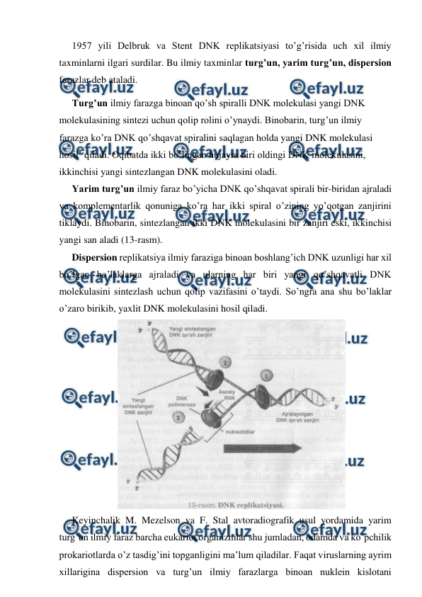  
 
1957 yili Delbruk va Stent DNK replikatsiyasi to’g’risida uch xil ilmiy 
taxminlarni ilgari surdilar. Bu ilmiy taxminlar turg’un, yarim turg’un, dispersion 
farazlar deb ataladi. 
Turg’un ilmiy farazga binoan qo’sh spiralli DNK molekulasi yangi DNK 
molekulasining sintezi uchun qolip rolini o’ynaydi. Binobarin, turg’un ilmiy 
farazga ko’ra DNK qo’shqavat spiralini saqlagan holda yangi DNK molekulasi 
hosil’ qiladi. Oqibatda ikki bo’lingan hujayra biri oldingi DNK molekulasini, 
ikkinchisi yangi sintezlangan DNK molekulasini oladi. 
Yarim turg’un ilmiy faraz bo’yicha DNK qo’shqavat spirali bir-biridan ajraladi 
va komplementarlik qonuniga ko’ra har ikki spiral o’zining yo’qotgan zanjirini 
tiklaydi. Binobarin, sintezlangan ikki DNK molekulasini bir zanjiri eski, ikkinchisi 
yangi san aladi (13-rasm). 
Dispersion replikatsiya ilmiy faraziga binoan boshlang’ich DNK uzunligi har xil 
bo’lgan bo’laklarga ajraladi va ularning har biri yangi qo’shqavatli DNK 
molekulasini sintezlash uchun qolip vazifasini o’taydi. So’ngra ana shu bo’laklar 
o’zaro birikib, yaxlit DNK molekulasini hosil qiladi. 
  
Keyinchalik M. Mezelson va F. Stal avtoradiografik usul yordamida yarim 
turg’un ilmiy faraz barcha eukariot organizmlar shu jumladan, odamda va ko’pchilik 
prokariotlarda o’z tasdig’ini topganligini ma’lum qiladilar. Faqat viruslarning ayrim 
xillarigina dispersion va turg’un ilmiy farazlarga binoan nuklein kislotani 
