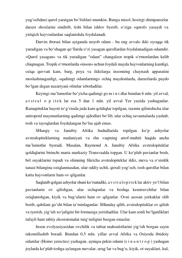 yog‘ochdan) qurol yaratgan bo‘lishlari mumkin. Bunga misol, hozirgi shimpanzelar 
daraxt shoxlarini sindirib, tishi bilan ishlov byerib, o‘ziga «qurol» yasaydi va 
yirtqich hayvonlardan saqlanishda foydalanadi. 
Darvin iborasi bilan aytganda noyob odam - bu eng avvalo ikki oyoqqa tik 
yuradigan va bo‘shagan qo‘llarda o‘zi yasagan qurollardan foydalanadigan odamdir. 
«Qurol yasagan» va tik yuradigan “odam” changalzor tropik o‘rmonlardan kelib 
chiqmagan. Tropik o‘rmonlarda «inson» uchun foydali mayda hayvonlarning kamligi, 
oziqa quvvati kam, barg, poya va ildizlarga insonning chaynash apparatini 
moslashmaganligi, «qadimgi odamlarning» ochiq maydonlarda, daraxtlarda paydo 
bo‘lgan degan nazariyani olimlar isbotladilar. 
Keyingi ma’lumotlar bo‘yicha qadimgi go m i n i dlar bundan 6 mln. yil avval, 
a v s t r a l  o p it e k lar esa 5 dan 1 mln. yil avval Yer yuzida yashaganlar. 
Ramapiteklar hayoti to‘g‘risida juda kam qoldiqlar topilgan, taxmin qilinishicha ular 
antropoid maymunlarning qadimgi ajdodlari bo‘lib, ular ochiq savannalarda yashab, 
tosh va tayoqlardan foydalangan bo‘lsa ajab emas. 
SHarqiy 
va 
Janubiy 
Afrika 
hududlarida 
topilgan 
ko‘p 
ashyolar 
avstralopiteklarning madaniyati va shu vaqtning atrof-muhiti haqida ancha 
ma’lumotlar byeradi. Masalan, Raymond A. Janubiy Afrika avstralopiteklar 
qoldiqlarini birinchi marta markaziy Transvaalda topgan. U ko‘plab pavianlar bosh, 
bel suyaklarini topadi va olimning fikricha avstralopiteklar ildiz, meva va o‘simlik 
tanasi bilangina oziqlanmasdan, ular oddiy uchli, qirrali yog‘och, tosh qurollar bilan 
katta hayvonlarni ham ov qilganlar. 
Saqlanib qolgan ashyolar shuni ko‘rsatadiki, avstralopitek lar aktiv yo‘l bilan 
pavianlarni ov qilishgan, ular sichqonlar va boshqa kemiruvchilar bilan 
oziqlanishgan, kiyik va bug‘ularni ham ov qilganlar. Ovni asosan yerkaklar olib 
borib, qabilani go‘sht bilan ta’minlaganlar. SHunday qilib, avstralopiteklar ov qilish 
va tyerish, yig‘ish xo‘jaligini bir formasiga yerishadilar. Ular kam sonli bo‘lganliklari 
tufayli ham tabiiy ekosistemalar turg‘unligini buzgan emaslar. 
Inson evolyusiyasidan ovchilik va tabiat mahsulotlarini yig‘ish borgan sayin 
takomillashib boradi. Bundan 0,5 mln. yillar avval Afrika va Osiyoda ibtidoiy 
odamlar (Homo yerectus) yashagan, ayniqsa pekin odami (s i n a n t r o p ) yashagan 
joylarda ko‘plab toshga aylangan mevalar, urug‘lar va bug‘u, kiyik, ot suyaklari, kul, 
