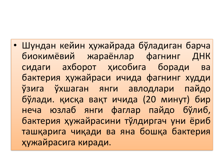 • Шундан кейин ҳужайрада бўладиган барча
биокимёвий
жараёнлар
фагнинг
ДНК
сидаги
ахборот
ҳисобига
боради
ва
бактерия ҳужайраси ичида фагнинг худди
ўзига
ўхшаган
янги
авлодлари
пайдо
бўлади. қисқа вақт ичида (20 минут) бир
неча
юзлаб
янги
фаглар
пайдо
бўлиб,
бактерия ҳужайрасини тўлдиргач уни ёриб
ташқарига чиқади ва яна бошқа бактерия
ҳужайрасига киради.
