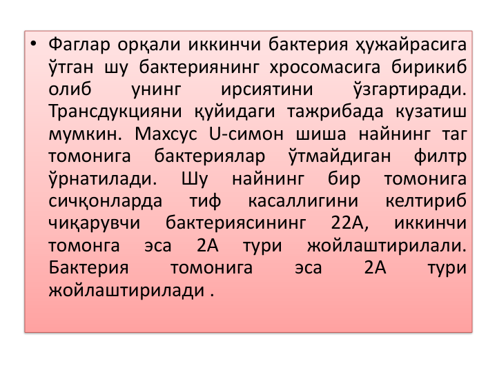 • Фаглар орқали иккинчи бактерия ҳужайрасига
ўтган шу бактериянинг хросомасига бирикиб
олиб
унинг
ирсиятини
ўзгартиради.
Трансдукцияни қуйидаги тажрибада кузатиш
мумкин. Махсус U-симон шиша найнинг таг
томонига
бактериялар
ўтмайдиган
филтр
ўрнатилади.
Шу
найнинг
бир
томонига
сичқонларда
тиф
касаллигини
келтириб
чиқарувчи
бактериясининг
22А,
иккинчи
томонга
эса
2А
тури
жойлаштирилали.
Бактерия
томонига
эса
2А
тури
жойлаштирилади .
