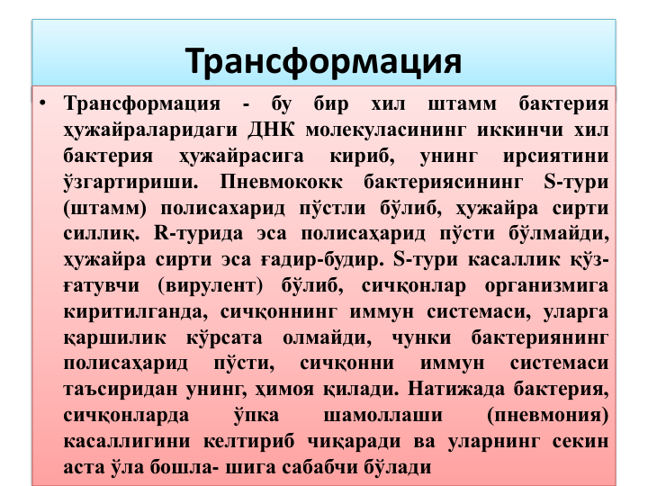 Трансформация
• Трансформация
-
бу
бир
хил
штамм
бактерия
ҳужайраларидаги ДНК молекуласининг иккинчи хил
бактерия
ҳужайрасига
кириб,
унинг
ирсиятини
ўзгартириши.
Пневмококк
бактериясининг
S-тури
(штамм) полисахарид пўстли бўлиб, ҳужайра сирти
силлиқ. R-турида эса полисаҳарид пўсти бўлмайди,
ҳужайра сирти эса ғадир-будир. S-тури касаллик қўз-
ғатувчи
(вирулент)
бўлиб,
сичқонлар
организмига
киритилганда, сичқоннинг иммун системаси, уларга
қаршилик
кўрсата
олмайди,
чунки
бактериянинг
полисаҳарид
пўсти,
сичқонни
иммун
системаси
таъсиридан унинг, ҳимоя қилади. Натижада бактерия,
сичқонларда
ўпка
шамоллаши
(пневмония)
касаллигини келтириб чиқаради ва уларнинг секин
аста ўла бошла- шига сабабчи бўлади
