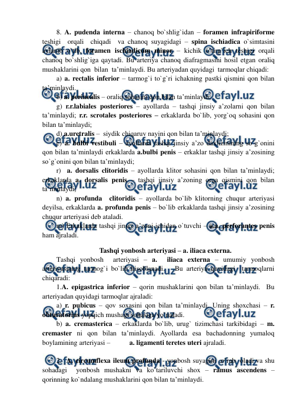  
 
8. A. pudenda interna – chanoq bo`shlig`idan – foramen infrapiriforme 
teshigi  orqali  chiqadi  va chanoq suyagidagi – spina ischiadica o`simtasini 
aylanib o`tib, foramen ischiadicum minor – kichik o`tirg`ich teshigi orqali 
chanoq bo`shlig`iga qaytadi. Bu arteriya chanoq diafragmasini hosil etgan oraliq 
mushaklarini qon  bilan  ta’minlaydi. Bu arteriyadan quyidagi  tarmoqlar chiqadi: 
a) a. rectalis inferior – tarmog`i to`g`ri ichakning pastki qismini qon bilan 
ta’minlaydi.     
b) a. perinealis – oraliq sohasini qon bilan ta’minlaydi;   
g) r.r.labiales posteriores – ayollarda – tashqi jinsiy a’zolarni qon bilan 
ta’minlaydi; r.r. scrotales posteriores – erkaklarda bo`lib, yorg`oq sohasini qon 
bilan ta’minlaydi; 
d) a.uretralis –  siydik chiqaruv nayini qon bilan ta’minlaydi; 
e) a. bulbi vestibuli – ayollarda tashqi jinsiy a’zo daxlizinining so`g`onini 
qon bilan ta’minlaydi erkaklarda a.bulbi penis – erkaklar tashqi jinsiy a’zosining 
so`g`onini qon bilan ta’minlaydi; 
r)  a. dorsalis clitoridis – ayollarda klitor sohasini qon bilan ta’minlaydi; 
erkaklarda a. dorsalis penis – tashqi jinsiy a’zoning orqa qismini qon bilan 
ta’minlaydi; 
n) a. profunda  clitoridis – ayollarda bo`lib klitorning chuqur arteriyasi 
deyilsa, erkaklarda a. profunda penis – bo`lib erkaklarda tashqi jinsiy a’zosining 
chuqur arteriyasi deb ataladi. 
m) Erkaklarda tashqi jinsiy a’zoni ichidan o`tuvchi – a.a. perforantes penis 
ham ajraladi.    
Tashqi yonbosh arteriyasi – a. iliaca externa.   
Tashqi yonbosh  arteriyasi – a.  iliaca externa – umumiy yonbosh 
arteriyasining tarmog`i bo`lib hisoblanadi.   Bu arteriya quyidagi  tarmoqlarni 
chiqaradi:  
1.A. epigastrica inferior – qorin mushaklarini qon bilan ta’minlaydi.  Bu 
arteriyadan quyidagi tarmoqlar ajraladi:  
a) r. pubicus – qov soxasini qon bilan ta’minlaydi. Uning shoxchasi – r. 
obturatorius yopqich mushagi sohasiga yo`naladi.  
b) a. cremasterica – erkaklarda bo`lib, urug` tizimchasi tarkibidagi – m. 
cremaster ni qon bilan ta’minlaydi. Ayollarda esa bachadonning yumaloq 
boylamining arteriyasi –           a. ligamenti teretes uteri ajraladi.  
                     
2.  A. circumflexa ileum profunda - yonbosh suyagini  o`rab  oladi va shu  
sohadagi  yonbosh mushakni va ko`tariluvchi shox – ramus ascendens – 
qorinning ko`ndalang mushaklarini qon bilan ta’minlaydi.  
