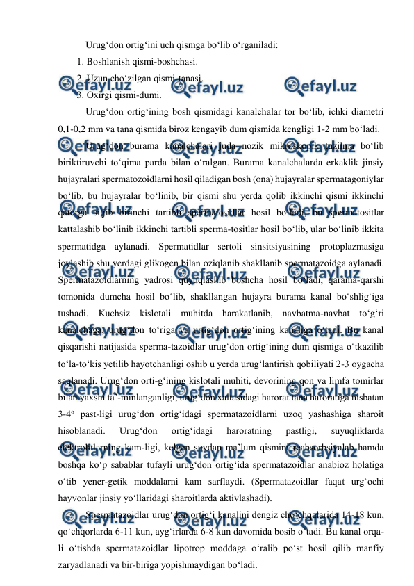  
 
 Urug‘don ortig‘ini uch qismga bo‘lib o‘rganiladi: 
1. Boshlanish qismi-boshchasi. 
2. Uzun cho‘zilgan qismi-tanasi. 
3. Oxirgi qismi-dumi. 
 Urug‘don ortig‘ining bosh qismidagi kanalchalar tor bo‘lib, ichki diametri 
0,1-0,2 mm va tana qismida biroz kengayib dum qismida kengligi 1-2 mm bo‘ladi. 
 Urug‘don burama kanalchalari juda nozik mikroskopik tuzilma bo‘lib 
biriktiruvchi to‘qima parda bilan o‘ralgan. Burama kanalchalarda erkaklik jinsiy 
hujayralari spermatozoidlarni hosil qiladigan bosh (ona) hujayralar spermatagoniylar 
bo‘lib, bu hujayralar bo‘linib, bir qismi shu yerda qolib ikkinchi qismi ikkinchi 
qatorga siljib birinchi tartibli spermatosidlar hosil bo‘ladi, bu spermatositlar 
kattalashib bo‘linib ikkinchi tartibli sperma-tositlar hosil bo‘lib, ular bo‘linib ikkita 
spermatidga aylanadi. Spermatidlar sertoli sinsitsiyasining protoplazmasiga 
joylashib shu yerdagi glikogen bilan oziqlanib shakllanib spermatazoidga aylanadi. 
Spermatazoidlarning yadrosi quyuqlashib boshcha hosil bo‘ladi, qarama-qarshi 
tomonida dumcha hosil bo‘lib, shakllangan hujayra burama kanal bo‘shlig‘iga 
tushadi. Kuchsiz kislotali muhitda harakatlanib, navbatma-navbat to‘g‘ri 
kanalchaga, urug‘don to‘riga va urug‘don ortig‘ining kanaliga o‘tadi. Bu kanal 
qisqarishi natijasida sperma-tazoidlar urug‘don ortig‘ining dum qismiga o‘tkazilib 
to‘la-to‘kis yetilib hayotchanligi oshib u yerda urug‘lantirish qobiliyati 2-3 oygacha 
saqlanadi. Urug‘don orti-g‘ining kislotali muhiti, devorining qon va limfa tomirlar 
bilan yaxshi ta’-minlanganligi, urug‘don xaltasidagi harorat tana haroratiga nisbatan 
3-4o past-ligi urug‘don ortig‘idagi spermatazoidlarni uzoq yashashiga sharoit 
hisoblanadi. 
Urug‘don 
ortig‘idagi 
haroratning 
pastligi, 
suyuqliklarda 
elektrolitlarning kam-ligi, kelgan suvdan ma’lum qismini reabsorbsiyalab hamda 
boshqa ko‘p sabablar tufayli urug‘don ortig‘ida spermatazoidlar anabioz holatiga 
o‘tib yener-getik moddalarni kam sarflaydi. (Spermatazoidlar faqat urg‘ochi 
hayvonlar jinsiy yo‘llaridagi sharoitlarda aktivlashadi). 
 Spermatazoidlar urug‘don ortig‘i kanalini dengiz cho‘chqalarida 14-18 kun, 
qo‘chqorlarda 6-11 kun, ayg‘irlarda 6-8 kun davomida bosib o‘tadi. Bu kanal orqa-
li o‘tishda spermatazoidlar lipotrop moddaga o‘ralib po‘st hosil qilib manfiy 
zaryadlanadi va bir-biriga yopishmaydigan bo‘ladi. 
