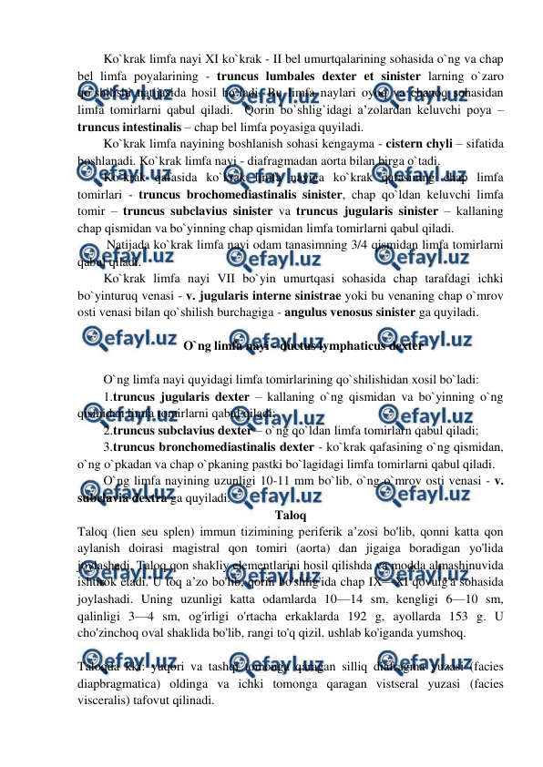  
 
Ko`krak limfa nayi XI ko`krak - II bel umurtqalarining sohasida o`ng va chap 
bel limfa poyalarining - truncus lumbales dexter et sinister larning o`zaro 
qo`shilishi natijasida hosil bo`ladi. Bu limfa naylari oyoq va chanoq sohasidan 
limfa tomirlarni qabul qiladi.  Qorin bo`shlig`idagi a’zolardan keluvchi poya – 
truncus intestinalis – chap bel limfa poyasiga quyiladi.  
Ko`krak limfa nayining boshlanish sohasi kengayma - cistern chyli – sifatida 
boshlanadi. Ko`krak limfa nayi - diafragmadan aorta bilan birga o`tadi.  
Ko`krak qafasida ko`krak limfa nayiga ko`krak qafasining chap limfa 
tomirlari - truncus brochomediastinalis sinister, chap qo`ldan keluvchi limfa 
tomir – truncus subclavius sinister va truncus jugularis sinister – kallaning 
chap qismidan va bo`yinning chap qismidan limfa tomirlarni qabul qiladi.  
 Natijada ko`krak limfa nayi odam tanasimning 3/4 qismidan limfa tomirlarni 
qabul qiladi.  
Ko`krak limfa nayi VII bo`yin umurtqasi sohasida chap tarafdagi ichki 
bo`yinturuq venasi - v. jugularis interne sinistrae yoki bu venaning chap o`mrov 
osti venasi bilan qo`shilish burchagiga - angulus venosus sinister ga quyiladi.  
 
O`ng limfa nayi - ductus lymphaticus dexter 
 
O`ng limfa nayi quyidagi limfa tomirlarining qo`shilishidan xosil bo`ladi:  
1.truncus jugularis dexter – kallaning o`ng qismidan va bo`yinning o`ng 
qismidan limfa tomirlarni qabul qiladi;  
2.truncus subclavius dexter – o`ng qo`ldan limfa tomirlarn qabul qiladi;  
3.truncus bronchomediastinalis dexter - ko`krak qafasining o`ng qismidan, 
o`ng o`pkadan va chap o`pkaning pastki bo`lagidagi limfa tomirlarni qabul qiladi.  
O`ng limfa nayining uzunligi 10-11 mm bo`lib, o`ng o`mrov osti venasi - v. 
subclavia dextra ga quyiladi.  
Taloq 
Taloq (lien seu splen) immun tizimining periferik a’zosi bo'lib, qonni katta qon 
aylanish doirasi magistral qon tomiri (aorta) dan jigaiga boradigan yo'lida 
joylashadi. Taloq qon shakliy elementlarini hosil qilishda va modda almashinuvida 
ishtirok etadi. U toq a’zo bo'lib, qorin bo'shlig'ida chap IX—XI qovuig'a sohasida 
joylashadi. Uning uzunligi katta odamlarda 10—14 sm, kengligi 6—10 sm, 
qalinligi 3—4 sm, og'irligi o'rtacha erkaklarda 192 g, ayollarda 153 g. U 
cho'zinchoq oval shaklida bo'lib, rangi to'q qizil. ushlab ko'iganda yumshoq.  
 
Taloqda kki: yuqori va tashqi tomonga qaragan silliq diafragma yuzasi (facies 
diapbragmatica) oldinga va ichki tomonga qaragan vistseral yuzasi (facies 
visceralis) tafovut qilinadi.  
