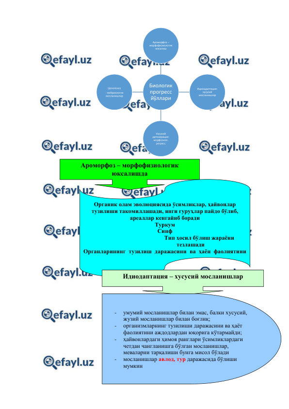  
 
 
 
 
 
 
 
 
 
 
 
 
 
 
 
 
Биологик 
прогресс 
йўллари
Ароморфоз –
морфофизиологик 
юксалиш 
Идиоадаптация-
хусусий 
мосланишлар
Умумий 
дегенерация-
морфозиол. 
регресс
Ценогенез 
- эмбриологик 
мосланишлар 
Ароморфоз – морфофизиологик 
юксалишда 
Органик олам эволюциясида ўсимликлар, ҳайвонлар 
тузилиши такомиллашади, янги гуруҳлар пайдо бўлиб, 
ареаллар кенгайиб боради 
Туркум  
Синф  
Тип ҳосил бўлиш жараёни 
тезлашади 
Органларининг тузилиш даражасини ва ҳаён фаолиятини 
аждодлардан юқорига кўтаради.  
 
Идиодаптация – хусусий мосланишлар 
- 
умумий мосланишлар билан эмас, балки хусусий, 
жузий мосланишлар билан боғлиқ;  
- 
организмларнинг тузилиши даражасини ва ҳаёт 
фаолиятини аждодлардан юқорига кўтармайди;  
- 
ҳайвонлардаги ҳимоя ранглари ўсимликлардаги 
четдан чангланишга бўлган мосланишлар, 
меваларни тарқалиши бунга мисол бўлади  
- 
мосланишлар авлод, тур даражасида бўлиши 
мумкин 
