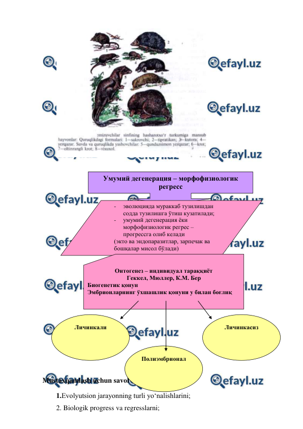  
 
 
 
 
 
 
 
 
 
 
 
 
 
 
 
 
Mustaxqamlash uchun savol va topshiriqlar: 
1.Evolyutsion jarayonning turli yo‘nalishlarini;  
2. Biologik progress va regresslarni;  
Умумий дегенерация – морфофизиологик 
регресс 
- 
эволюцияда мураккаб тузилишдан 
содда тузилишга ўтиш кузатилади;  
- 
умумий дегенерация ёки 
морфофизиологик регрес – 
прогрессга олиб келади 
(экто ва эндопаразитлар, зарпечак ва 
бошқалар мисол бўлади) 
- 
 
Онтогенез – индивидуал тараққиёт 
Геккел, Мюллер, К.М. Бер 
Биогенетик қонун 
Эмбрионларнинг ўхшашлик қонуни у билан боғлиқ  
 
Личинкали 
Полиэмбрионал 
Личинкасиз 
 
