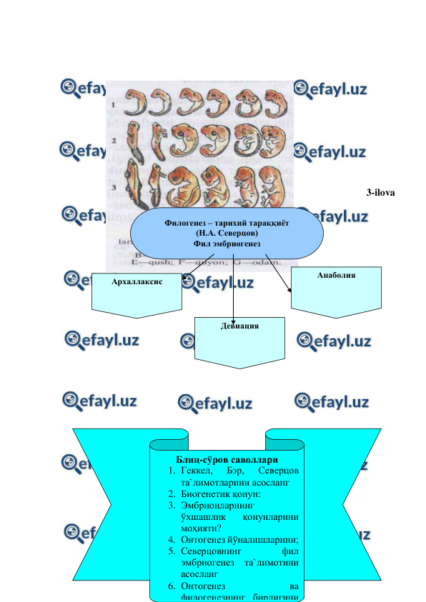  
 
 
 
 
 
 
 
 
 
3-ilova  
 
 
 
 
 
 
 
 
 
 
 
 
 
 
 
 
 
 
Филогенез – тарихий тараққиёт  
(Н.А. Северцов) 
Фил эмбриогенез  
Архаллаксис 
Девиация 
Анаболия 
Блиц-сўров саволлари 
1. Геккел, 
Бэр, 
Северцов 
та`лимотларини асосланг 
2. Биогенетик қонун:  
3. Эмбрионларнинг 
ўхшашлик 
қонунларини 
моҳияти?  
4. Онтогенез йўналишларини; 
5. Северцовнинг 
фил 
эмбриогенез та`лимотини 
асосланг 
6. Онтогенез 
ва 
филогенезнинг бирлигини 
