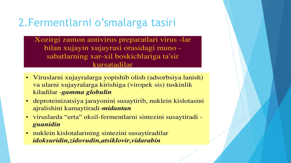 2.Fermentlarni o’smalarga tasiri
