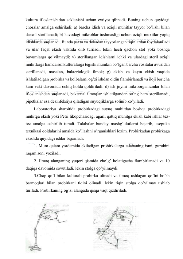  
 
kultura ifloslanishidan saklanishi uchun extiyot qilinadi. Buning uchun quyidagi 
choralar amalga oshiriladi: a) barcha idish va oziqli muhitlar tayyor bo’lishi bilan 
darxol sterillanadi; b) havodagi mikroblar tushmasligi uchun oziqli muxitlar yopiq 
idishlarda saqlanadi. Bunda paxta va dokadan tayyorlangan tiqinlardan foydalaniladi 
va ular faqat ekish vaktida olib turiladi, lekin hech qachon stol yoki boshqa 
buyumlarga qo’yilmaydi; v) sterillangan idishlarni ichki va ulardagi steril oziqli 
muhitlarga hamda sof kulturalarga tegishi mumkin bo’lgan barcha vositalar avvaldan 
sterillanadi, masalan, bakteriologik ilmok; g) ekish va kayta ekish vaqtida 
ishlatiladigan probirka va kolbalarni og’zi ishdan oldin flambirlanadi va iloji boricha 
kam vakt davomida ochiq holda qoldiriladi: d) ish joyini mikroorganizmlar bilan 
ifloslanishdan saqlanadi, bakterial ilmoqlar ishlatilgandan so’ng ham sterillanadi, 
pipetkalar esa dezinfeksiya qiladigan suyuqliklarga solinib ko’yiladi. 
Laboratoriya sharoitida probirkadagi suyuq muhitdan boshqa probirkadagi 
muhitga ekish yoki Petri likopchasidagi agarli qattiq muhitga ekish kabi ishlar tez-
tez amalga oshirilib turadi. Talabalar bunday mashg’ulotlarni bajarib, aseptika 
texnikasi qoidalarini amalda ko’llashni o’rganishlari lozim. Probirkadan probirkaga 
ekishda quyidagi ishlar bajariladi: 
1. Mum qalam yordamida ekiladigan probirkalarga talabaning ismi, guruhini 
raqam soni yoziladi. 
2. Ilmoq alanganing yuqori qismida cho’g’ holatigacha flambirlanadi va 10 
daqiqa davomida sovutiladi, lekin stolga qo’yilmaydi. 
3.Chap qo’l bilan kulturali probirka olinadi va ilmoq ushlagan qo’lni bo’sh 
barmoqlari bilan probirkani tiqini olinadi, lekin tiqin stolga qo’yilmay ushlab 
turiladi. Probirkaning og’zi alangada qisqa vaqt qizdiriladi. 
 
                      
 
