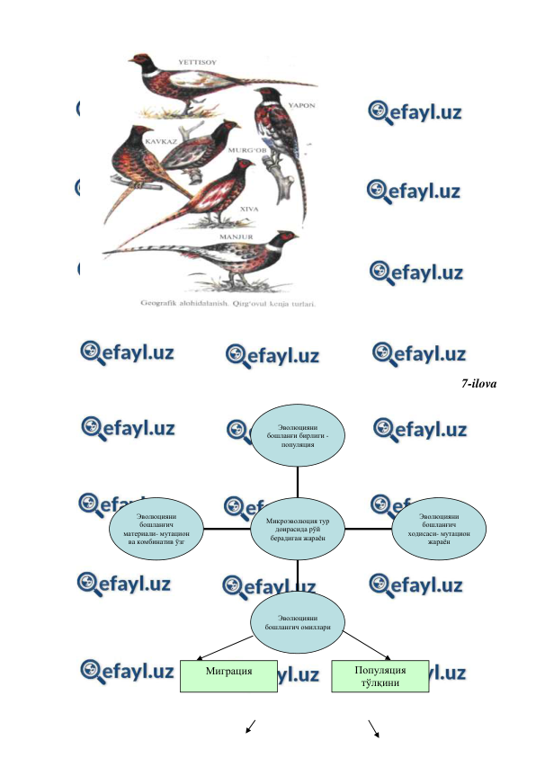  
 
 
 
 
 
 
 
 
 
 
 
 
 
 
 
 
7-ilova  
 
 
 
 
Эволюцияни 
бошланғич 
материали- мутацион 
ва комбинатив ўзг 
Эволюцияни 
бошланғич омиллари 
Эволюцияни 
бошланғич 
ходисаси- мутацион 
жараён 
Эволюцияни 
бошланғи бирлиги -
популяция 
Микроэволюция тур 
доирасида рўй 
берадиган жараён 
Миграция 
Популяция 
тўлқини 
