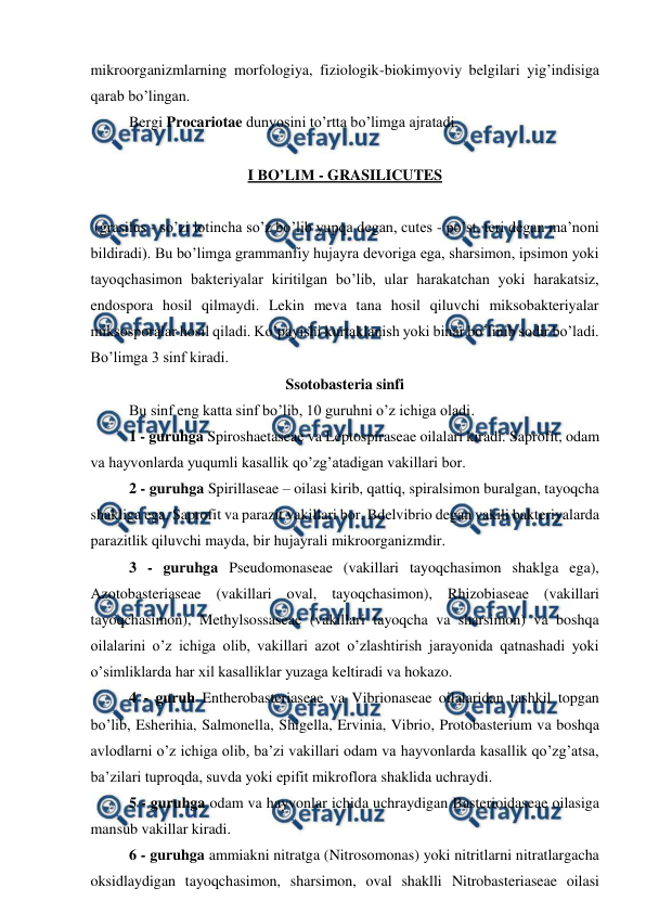  
 
mikroorganizmlarning morfologiya, fiziologik-biokimyoviy belgilari yig’indisiga 
qarab bo’lingan. 
Bergi Procariotae dunyosini to’rtta bo’limga ajratadi. 
 
I BO’LIM - GRASILICUTES  
 
 (grasilus - so’zi lotincha so’z bo’lib yupqa degan, cutes - po’st, teri degan ma’noni 
bildiradi). Bu bo’limga grammanfiy hujayra devoriga ega, sharsimon, ipsimon yoki 
tayoqchasimon bakteriyalar kiritilgan bo’lib, ular harakatchan yoki harakatsiz, 
endospora hosil qilmaydi. Lekin meva tana hosil qiluvchi miksobakteriyalar 
miksosporalar hosil qiladi. Ko’payishi kurtaklanish yoki binar bo’linib sodir bo’ladi. 
Bo’limga 3 sinf kiradi. 
Ssotobasteria sinfi 
Bu sinf eng katta sinf bo’lib, 10 guruhni o’z ichiga oladi. 
1 - guruhga Spiroshaetaseae va Leptospiraseae oilalari kiradi. Saprofit, odam 
va hayvonlarda yuqumli kasallik qo’zg’atadigan vakillari bor. 
2 - guruhga Spirillaseae – oilasi kirib, qattiq, spiralsimon buralgan, tayoqcha 
shakliga ega. Saprofit va parazit vakillari bor. Bdelvibrio degan vakili bakteriyalarda 
parazitlik qiluvchi mayda, bir hujayrali mikroorganizmdir. 
3 - guruhga Pseudomonaseae (vakillari tayoqchasimon shaklga ega), 
Azotobasteriaseae (vakillari oval, tayoqchasimon), Rhizobiaseae (vakillari 
tayoqchasimon), Methylsossaseae (vakillari tayoqcha va sharsimon) va boshqa 
oilalarini o’z ichiga olib, vakillari azot o’zlashtirish jarayonida qatnashadi yoki 
o’simliklarda har xil kasalliklar yuzaga keltiradi va hokazo. 
4 - guruh Entherobasteriaseae va Vibrionaseae oilalaridan tashkil topgan 
bo’lib, Esherihia, Salmonella, Shigella, Ervinia, Vibrio, Protobasterium va boshqa 
avlodlarni o’z ichiga olib, ba’zi vakillari odam va hayvonlarda kasallik qo’zg’atsa, 
ba’zilari tuproqda, suvda yoki epifit mikroflora shaklida uchraydi. 
5 - guruhga odam va hayvonlar ichida uchraydigan Basterioidaseae oilasiga 
mansub vakillar kiradi.  
6 - guruhga ammiakni nitratga (Nitrosomonas) yoki nitritlarni nitratlargacha 
oksidlaydigan tayoqchasimon, sharsimon, oval shaklli Nitrobasteriaseae oilasi 
