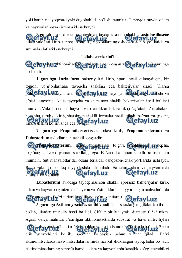  
 
yoki baraban tayoqchasi yoki dug shaklida bo’lishi mumkin. Tuproqda, suvda, odam 
va hayvonlar hazm sistemasida uchraydi. 
3 guruh - spora hosil qilmaydigan tayoqchasimon shaklli Lastobasillaseae 
oilasi vakillari kirib, tuproq, o’simlik, hayvonlarning oshqozon-ichak yo’llarida va 
sut mahsulotlarida uchraydi. 
Tallobasteria sinfi 
Bu sinfga aktinomitsetlar va ularga yaqin organizmlar kiradi va 3 guruhga 
bo’linadi. 
1 guruhga korineform bakteriyalari kirib, spora hosil qilmaydigan, bir 
tomoni yo’g’onlashgan tayoqcha shakliga ega bakteriyalar kiradi. Ularga 
polimorfizm xususiyati xos bo’lib, ba’zan katta tayoqcha shakliga ega bo’lishi va 
o’sish jarayonida kalta tayoqcha va sharsimon shaklli bakteriyalar hosil bo’lishi 
mumkin. Vakillari odam, hayvon va o’simliklarda kasallik qo’zg’atadi. Artrobakter 
ham shu guruhga kirib, sharsimon shaklli formalar hosil  qiladi, ba’zan esa gigant, 
limon shaklli ko’rinishga ega bo’ladi. 
2 guruhga Propionibasteriaseae oilasi kirib, Propionobasterium va 
Eubasterium avlodlaridan tashkil topgandir. 
Propionobasterium avlodi hujayralari to’g’ri, shohlangan tayoqcha, 
to’g’nag’ich yoki ipsimon shakllarga ega. Ba’zan sharsimon shaklli bo’lishi ham 
mumkin. Sut mahsulotlarida, odam terisida, oshqozon-ichak yo’llarida uchraydi. 
Ba’zi vakillari pishloq tayyorlashda ishlatiladi. Ba’zilari odam va hayvonlarda 
kasallik ko’zg’atadi.  
Eubasterium avlodiga tayoqchasimon shaklli sporasiz bakteriyalar kirib, 
odam va hayvon organizmida, hayvon va o’simliklardan tayyorlangan mahsulotlarda 
keng tarqalgan. Ba’zi turlari kasallik qo’zg’atuvchilardir.  
3 guruhga Astinomyssetales tartibi kiradi. Ular shoxlangan gifalardan iborat 
bo’lib, ulardan mitseliy hosil bo’ladi. Gifalar bir hujayrali, diametri 0.5-2 mkm. 
Agarli oziqa muhitda o’stirilgan aktinomitsetlarda substrat va havo mitselliylari 
bo’ladi. Havo mitsellalari to’g’ri shohlangan, spiralsimon ko’rinishda bo’ladi. Spora 
olib yuruvchilari bo’lib, sporalar ko’payish uchun xizmat qiladi. Ba’zi 
aktinomitsetlarda havo mitsellalari o’rnida har xil shoxlangan tayoqchalar bo’ladi. 
Aktinomitsetlarning saprofit hamda odam va hayvonlarda kasallik ko’zg’atuvchilari 
