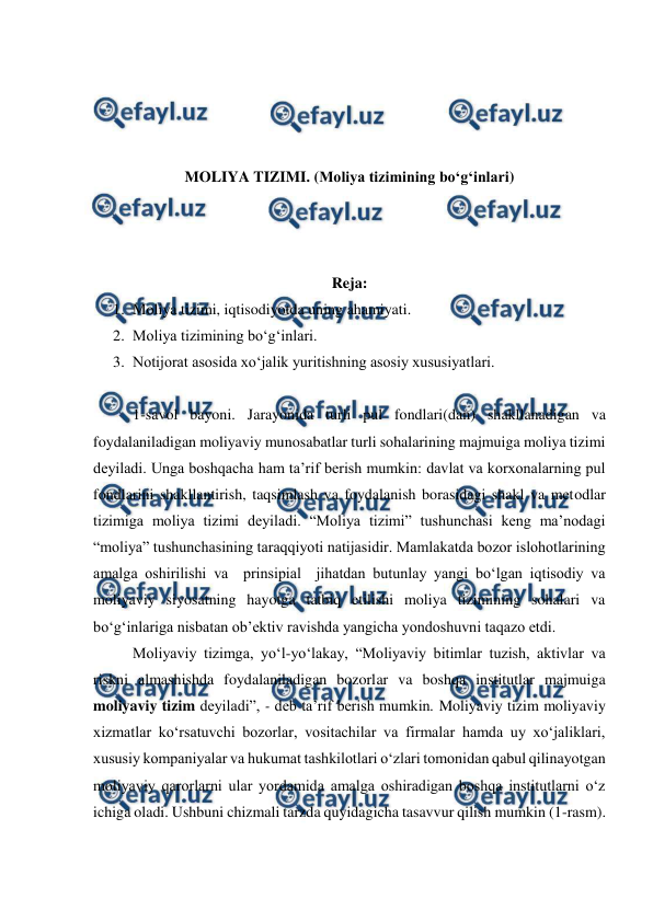  
 
 
 
 
 
MOLIYA TIZIMI. (Moliya tizimining bo‘g‘inlari) 
 
 
 
Reja: 
1. Moliya tizimi, iqtisodiyotda uning ahamiyati. 
2. Moliya tizimining bo‘g‘inlari. 
3. Notijorat asosida xo‘jalik yuritishning asosiy xususiyatlari.  
 
1-savol bayoni. Jarayonida turli pul fondlari(dan) shakllanadigan va 
foydalaniladigan moliyaviy munosabatlar turli sohalarining majmuiga moliya tizimi 
deyiladi. Unga boshqacha ham ta’rif berish mumkin: davlat va korxonalarning pul 
fondlarini shakllantirish, taqsimlash va foydalanish borasidagi shakl va metodlar 
tizimiga moliya tizimi deyiladi. “Moliya tizimi” tushunchasi keng ma’nodagi 
“moliya” tushunchasining taraqqiyoti natijasidir. Mamlakatda bozor islohotlarining 
amalga oshirilishi va  prinsipial  jihatdan butunlay yangi bo‘lgan iqtisodiy va 
moliyaviy siyosatning hayotga tatbiq etilishi moliya tizimining sohalari va 
bo‘g‘inlariga nisbatan ob’ektiv ravishda yangicha yondoshuvni taqazo etdi. 
Moliyaviy tizimga, yo‘l-yo‘lakay, “Moliyaviy bitimlar tuzish, aktivlar va 
riskni almashishda foydalaniladigan bozorlar va boshqa institutlar majmuiga 
moliyaviy tizim deyiladi”, - deb ta’rif berish mumkin. Moliyaviy tizim moliyaviy 
xizmatlar ko‘rsatuvchi bozorlar, vositachilar va firmalar hamda uy xo‘jaliklari, 
xususiy kompaniyalar va hukumat tashkilotlari o‘zlari tomonidan qabul qilinayotgan 
moliyaviy qarorlarni ular yordamida amalga oshiradigan boshqa institutlarni o‘z 
ichiga oladi. Ushbuni chizmali tarzda quyidagicha tasavvur qilish mumkin (1-rasm). 
 
